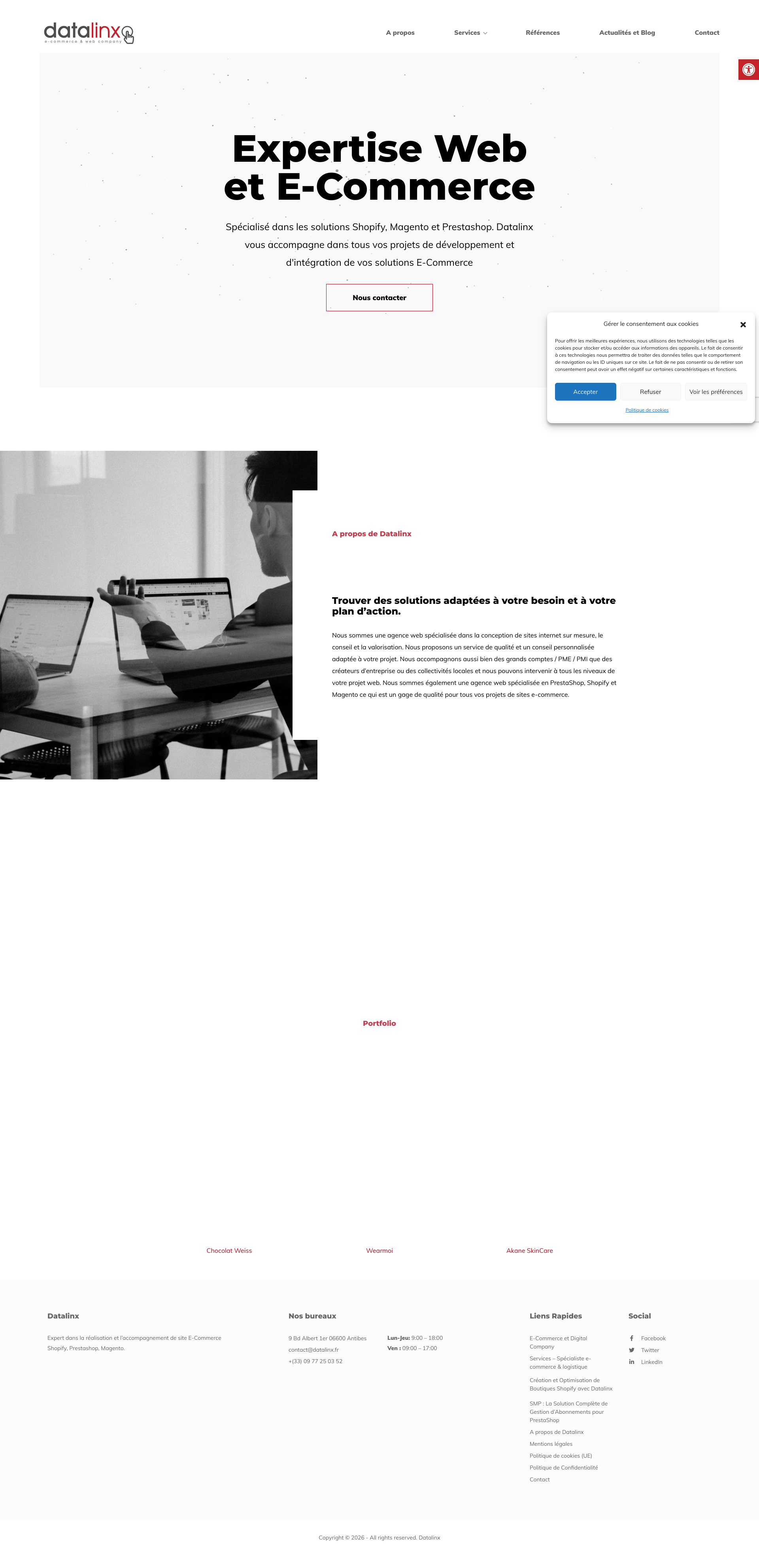 Aperçu du site