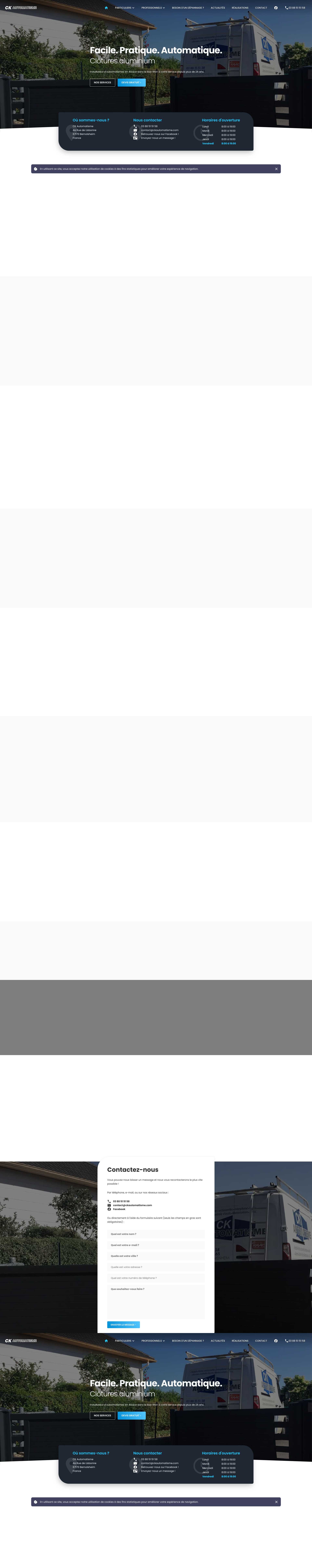 Aperçu du site