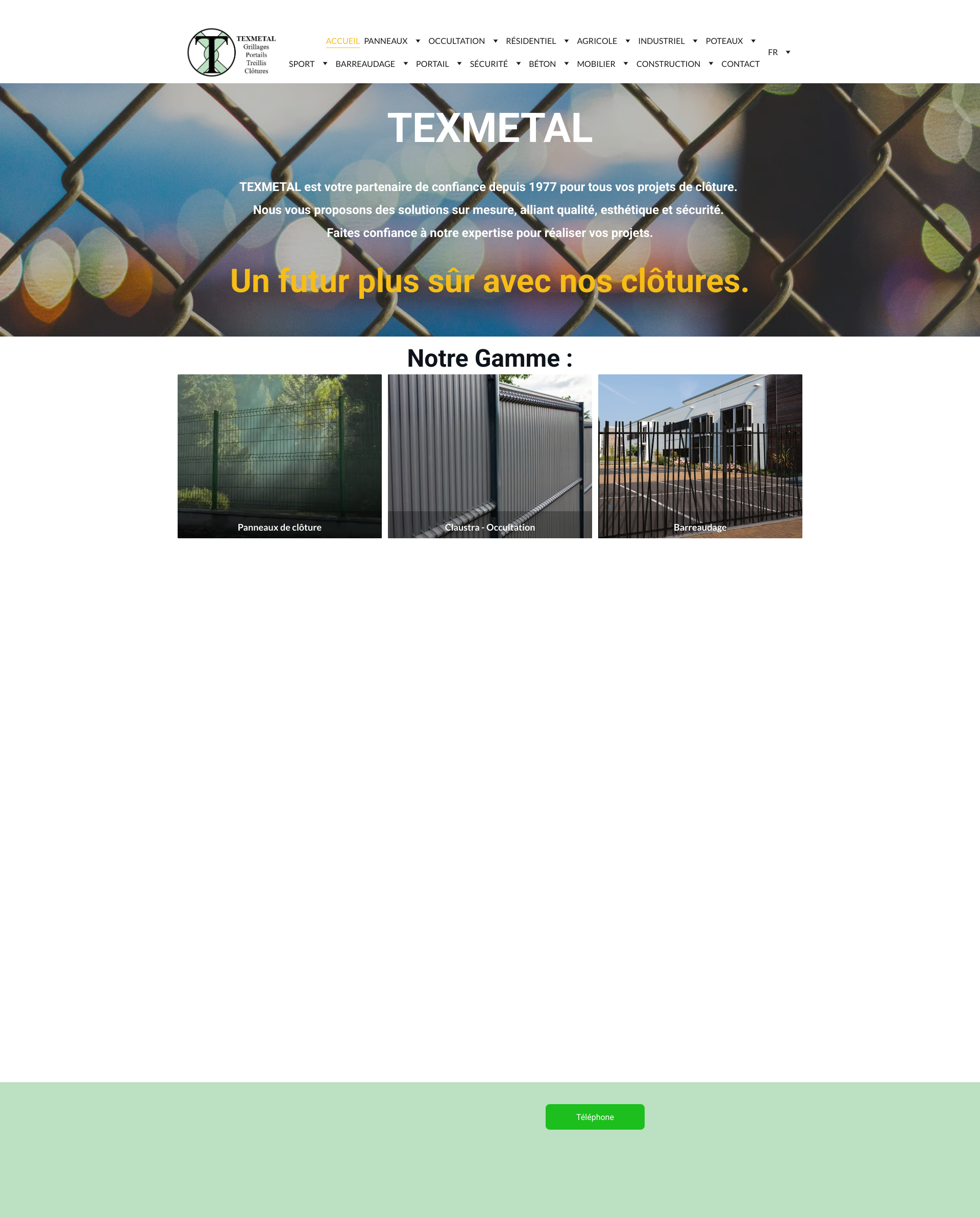 Aperçu du site