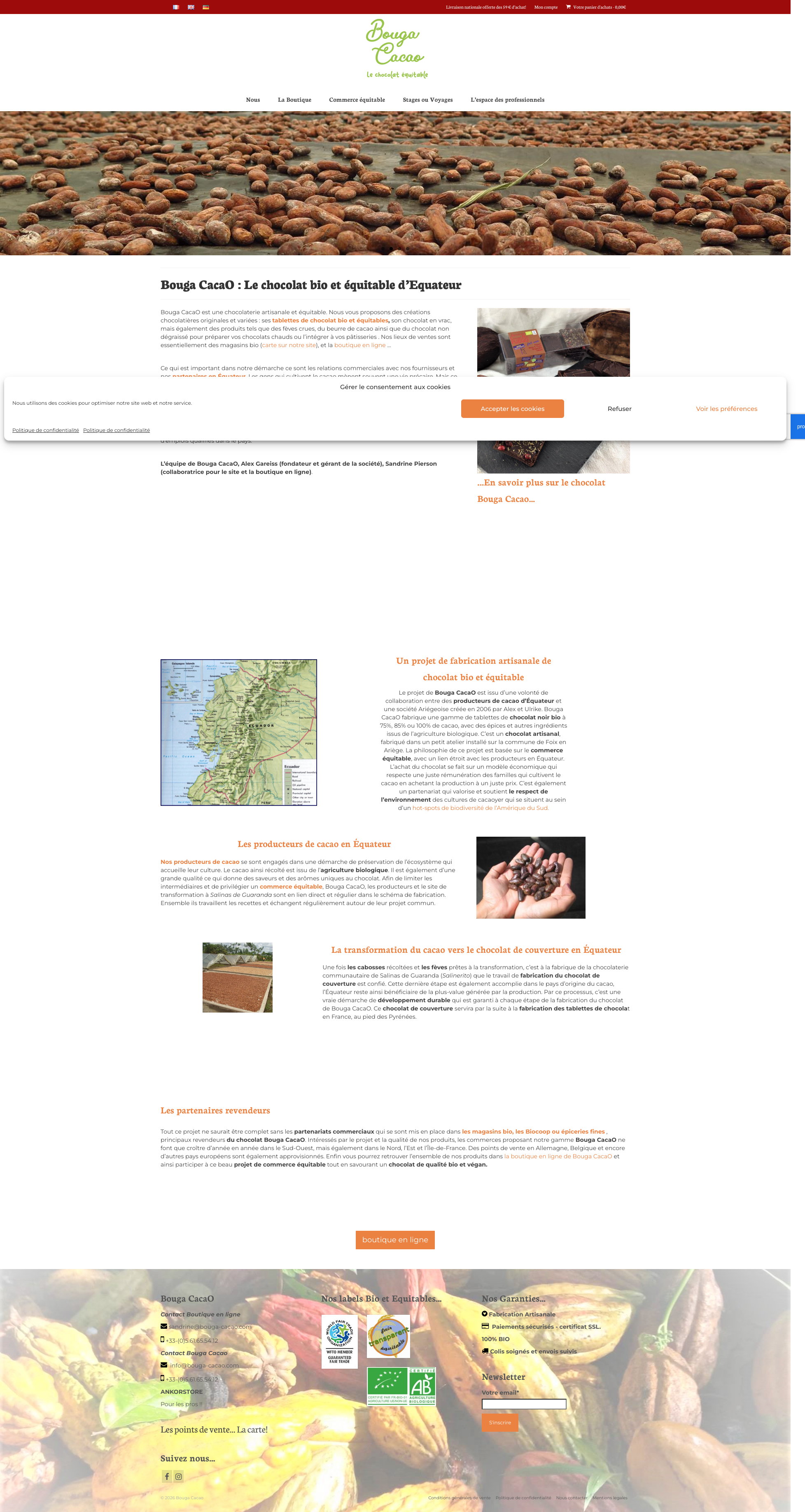 Aperçu du site