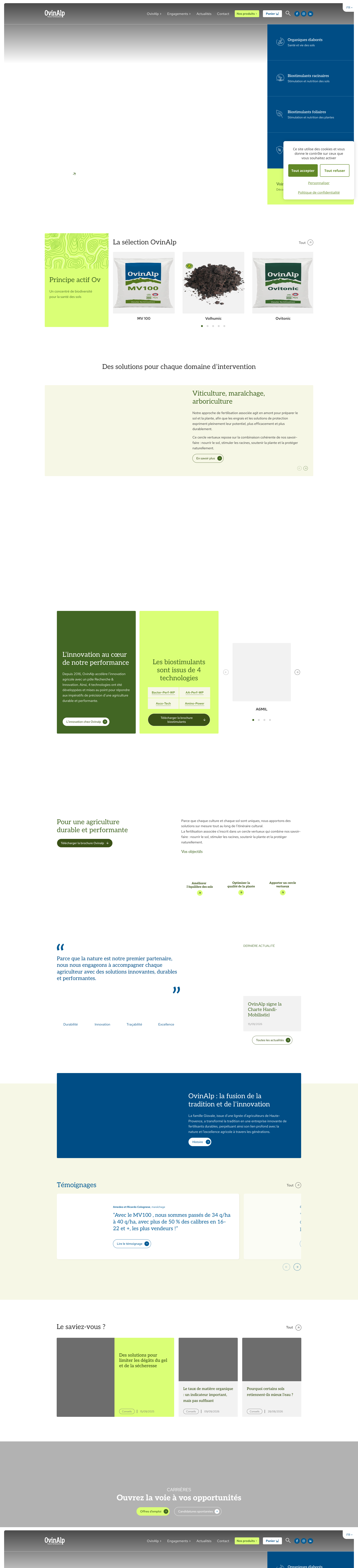 Aperçu du site
