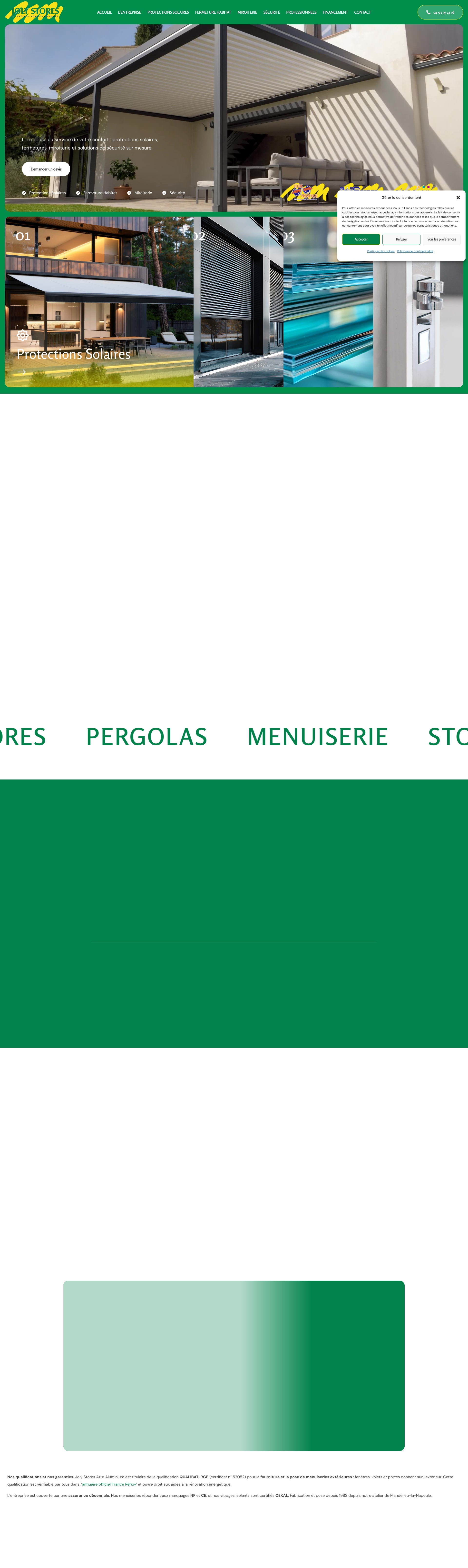 Aperçu du site