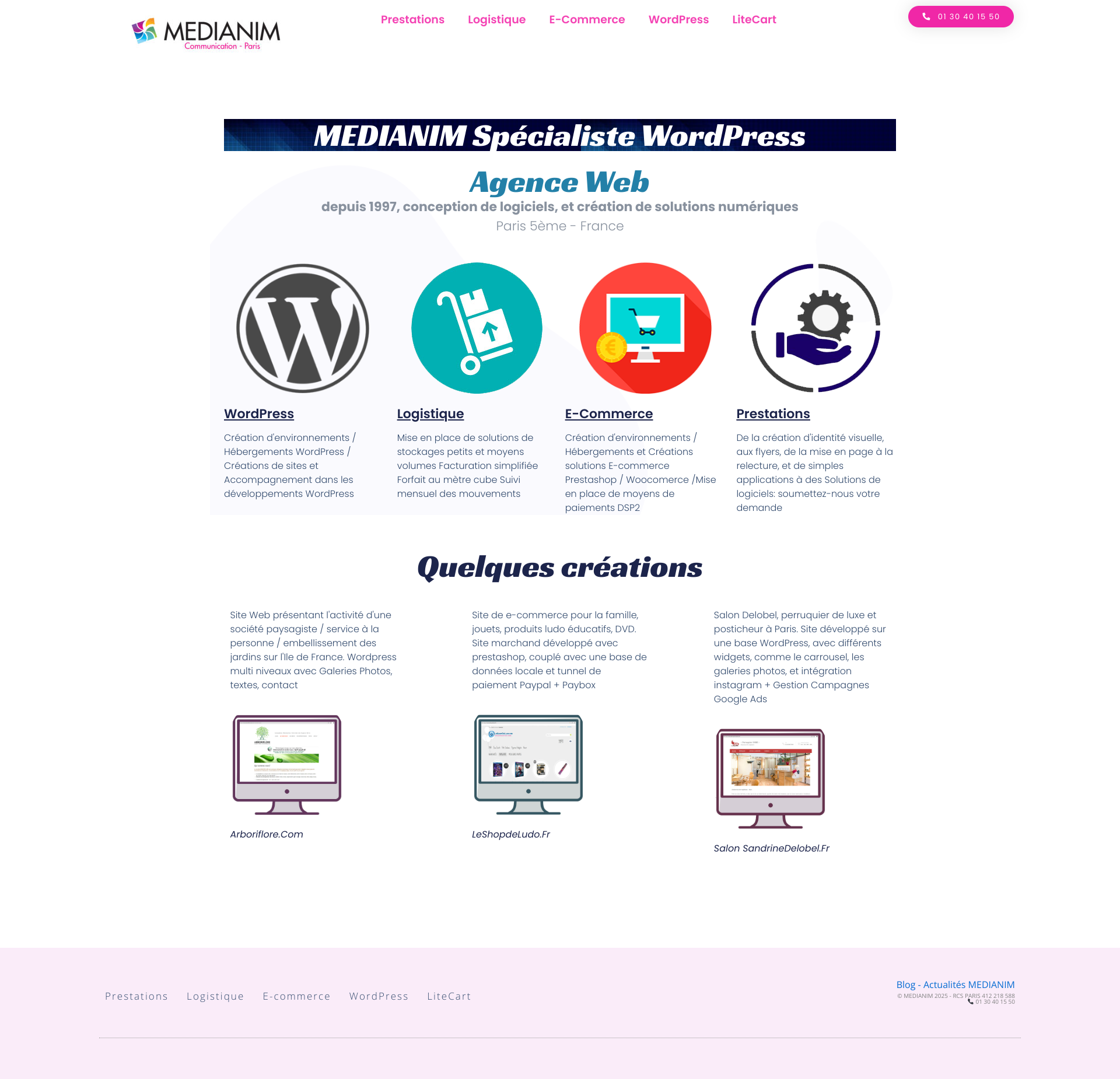 Aperçu du site