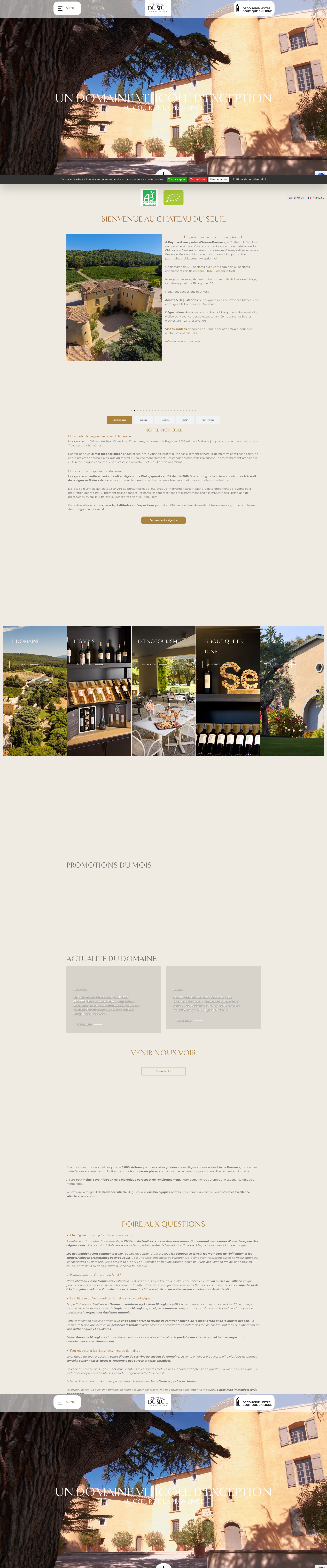 Aperçu du site