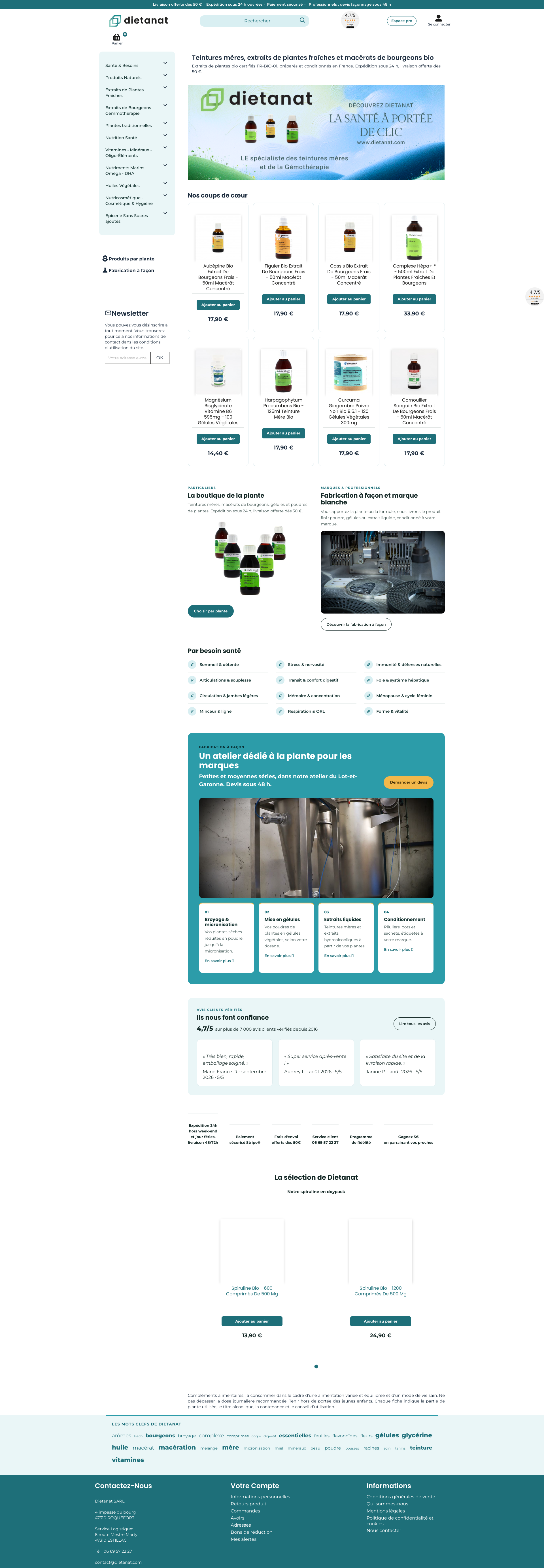 Aperçu du site