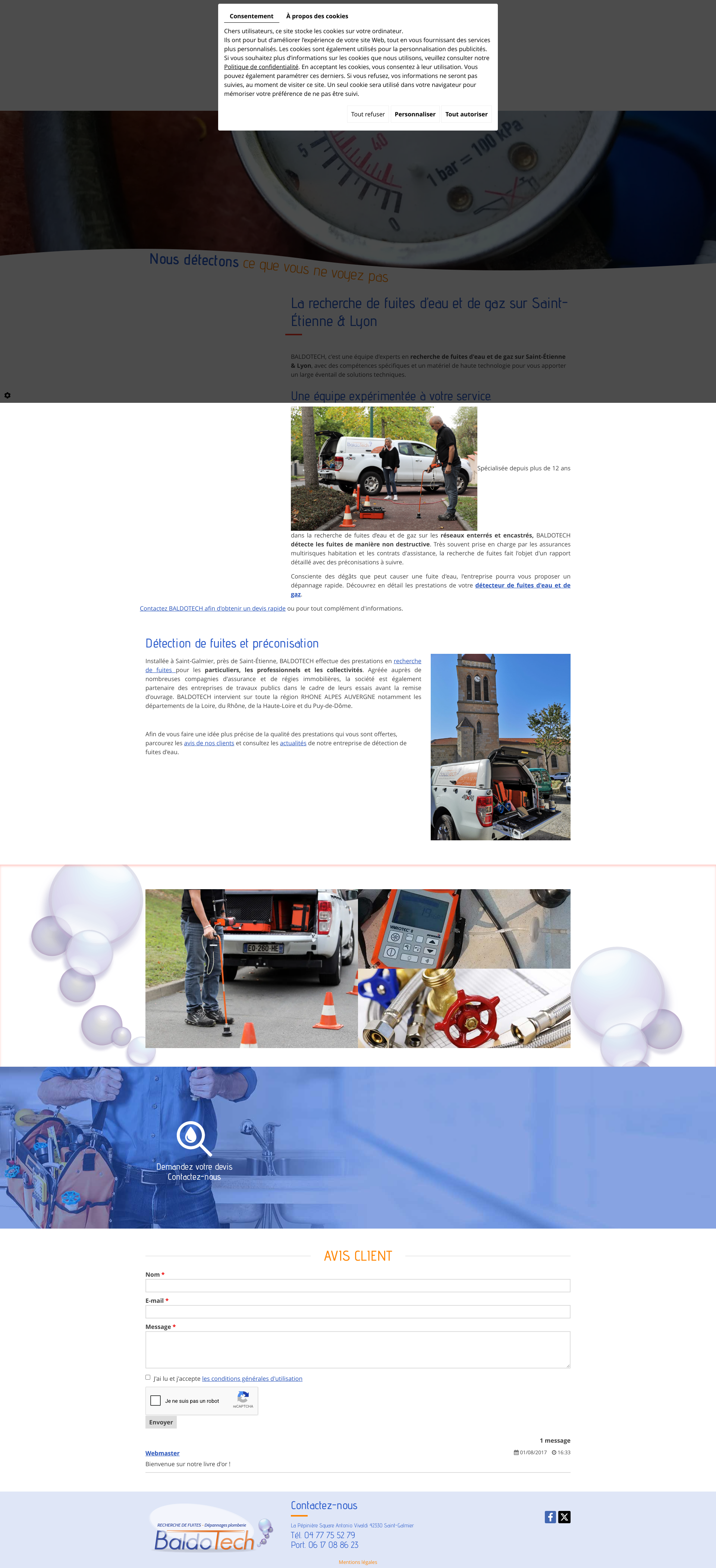 Aperçu du site