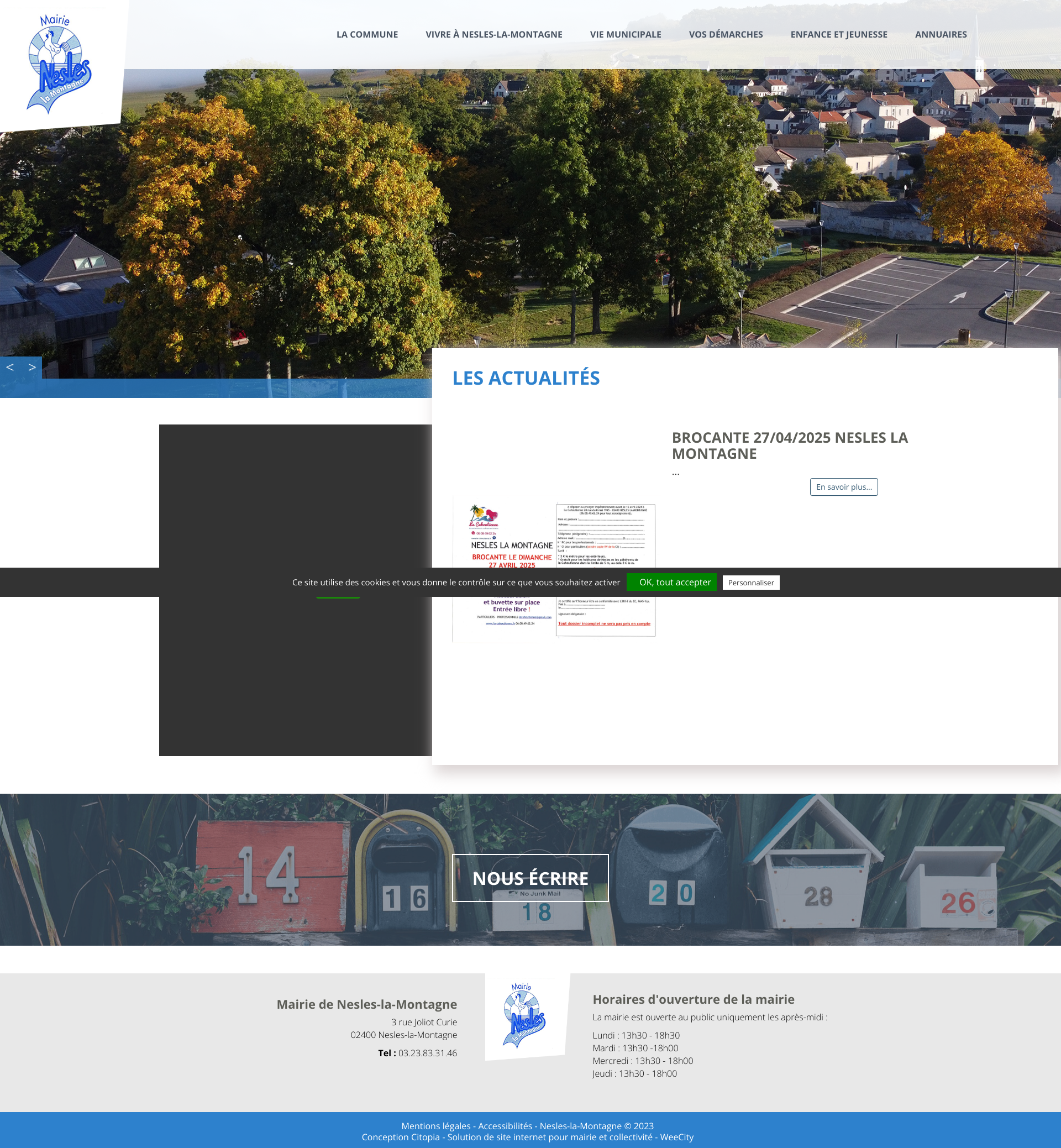 Aperçu du site