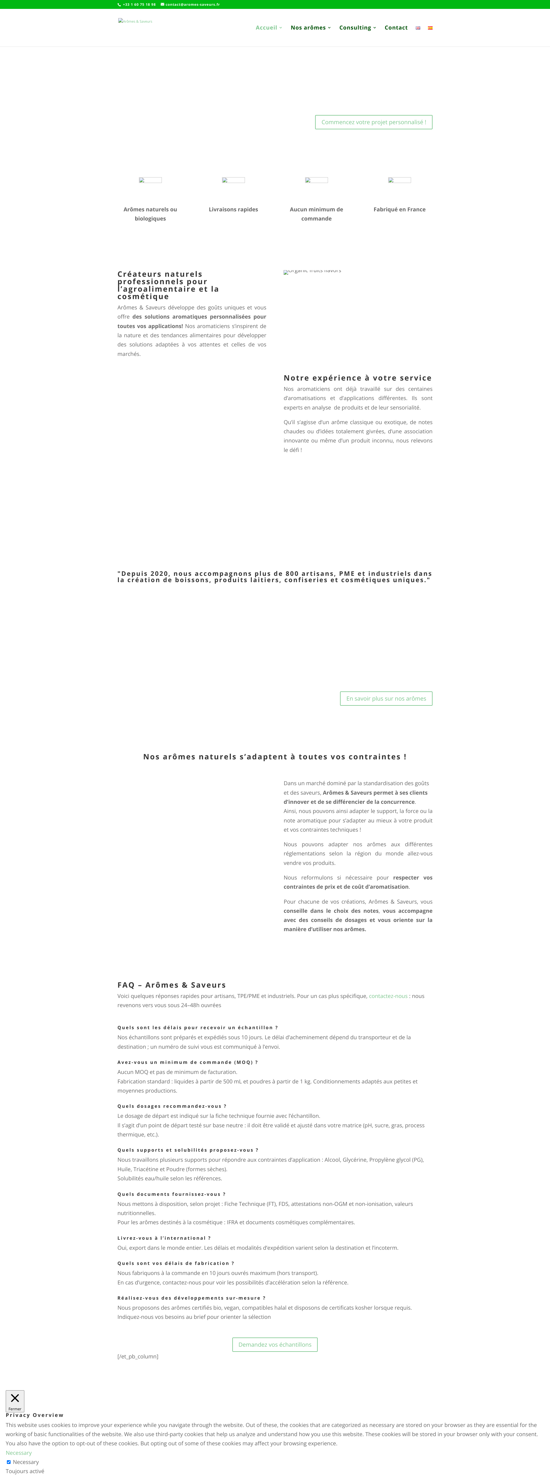 Aperçu du site