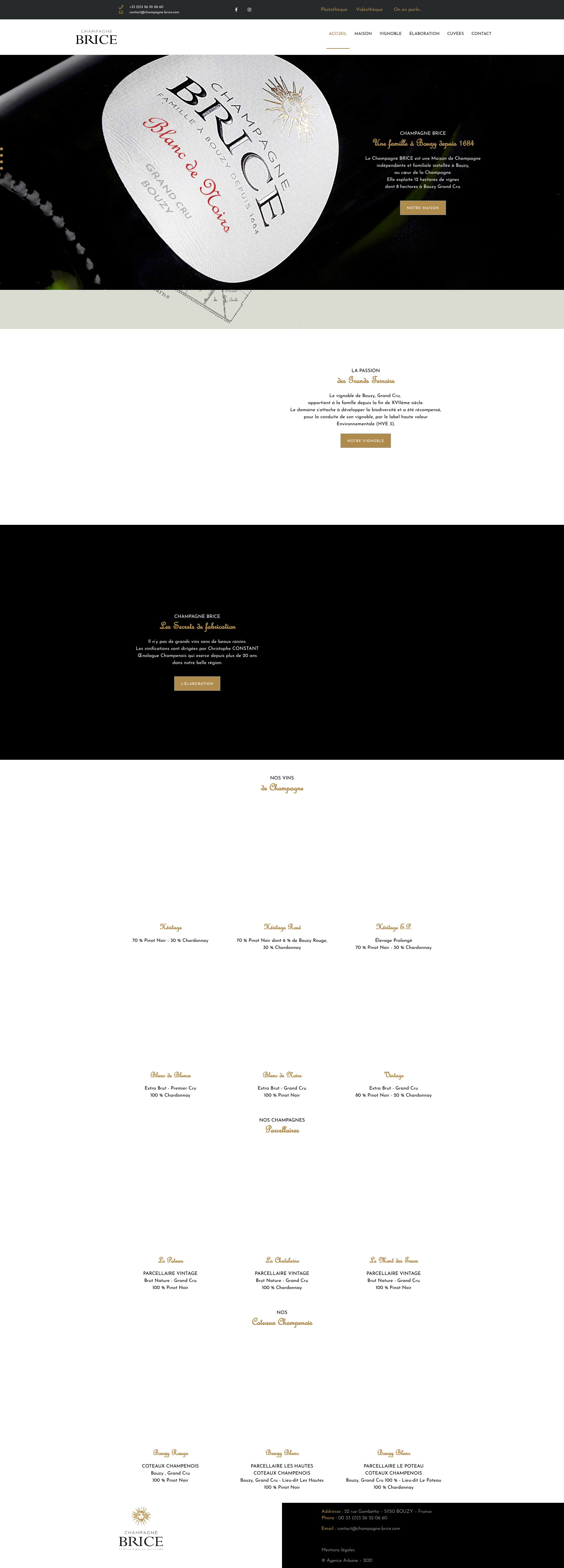 Aperçu du site