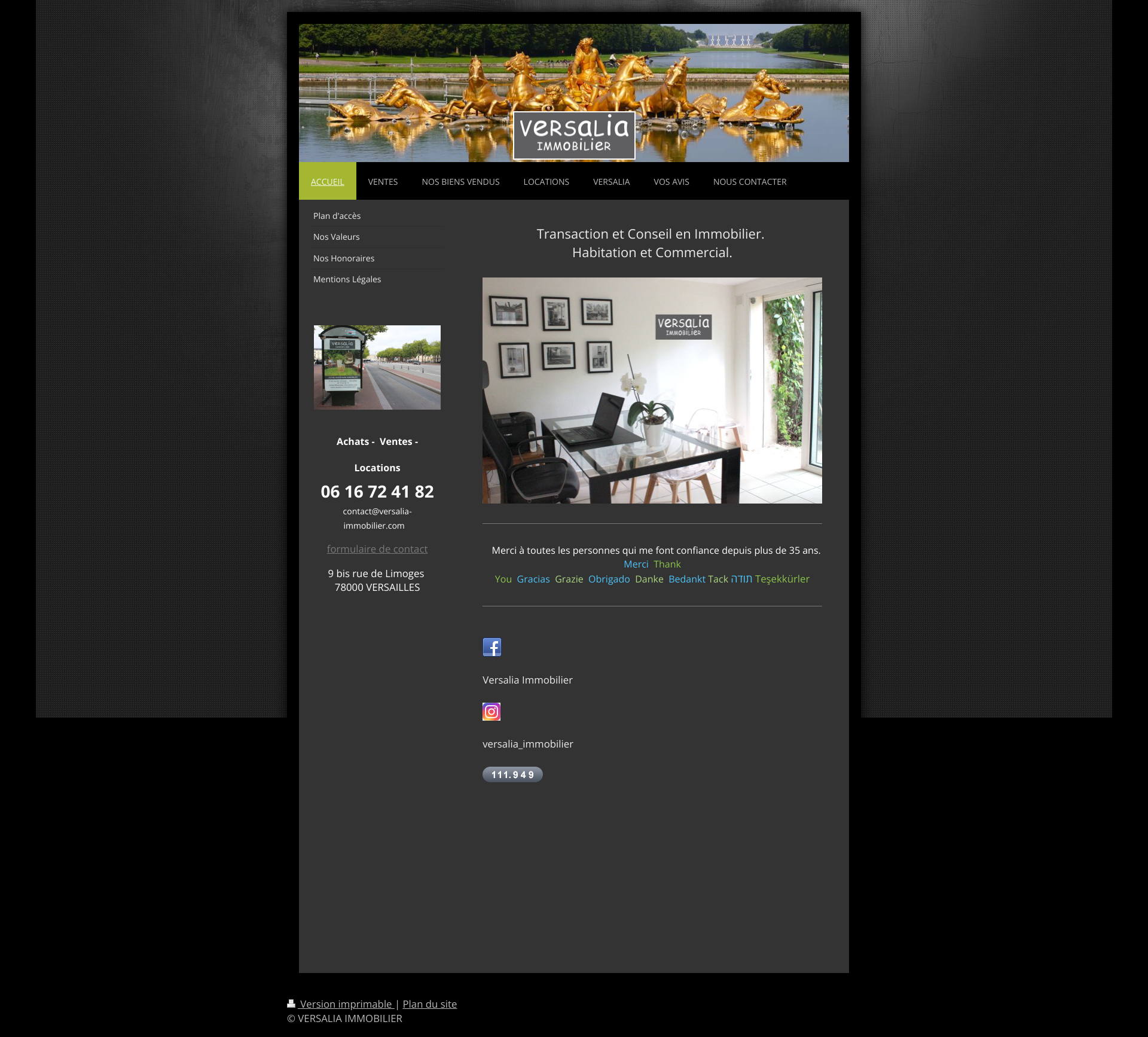 Aperçu du site