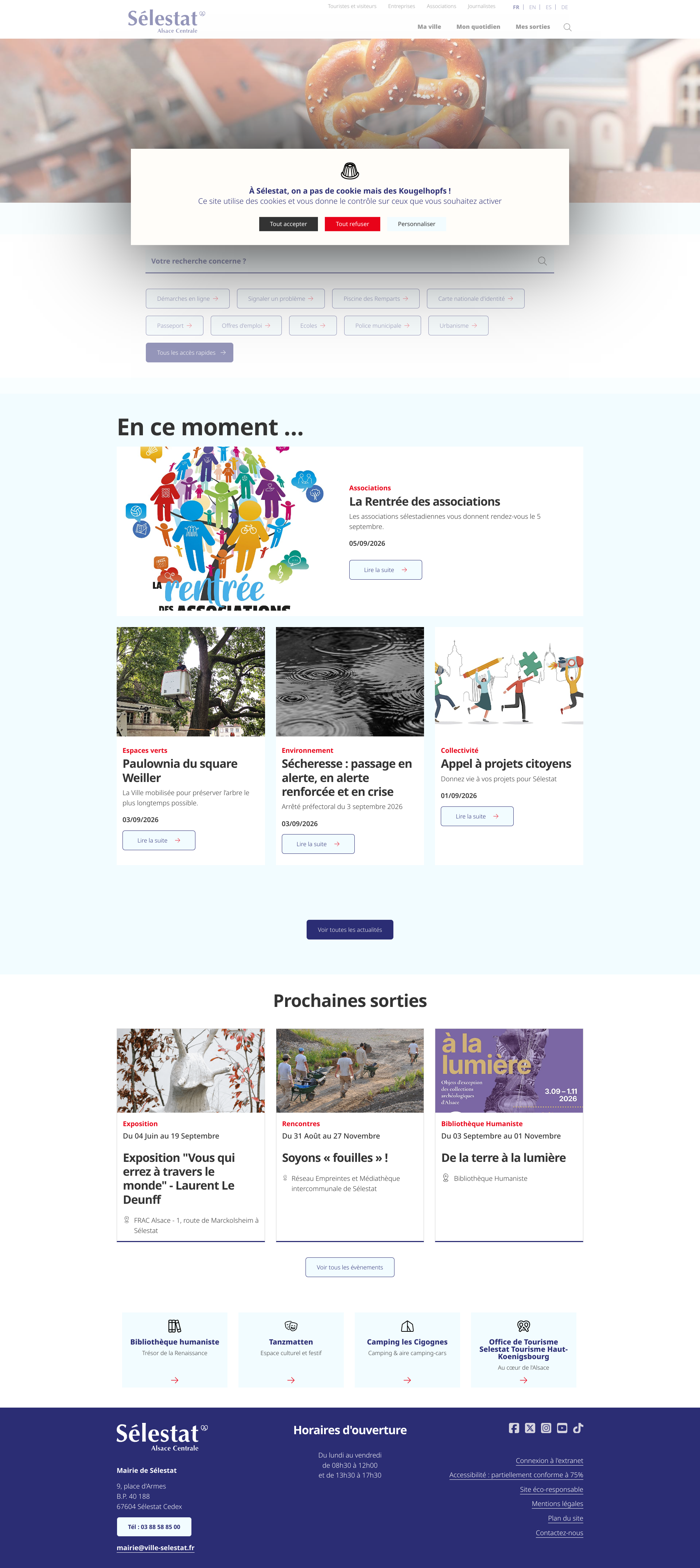 Aperçu du site