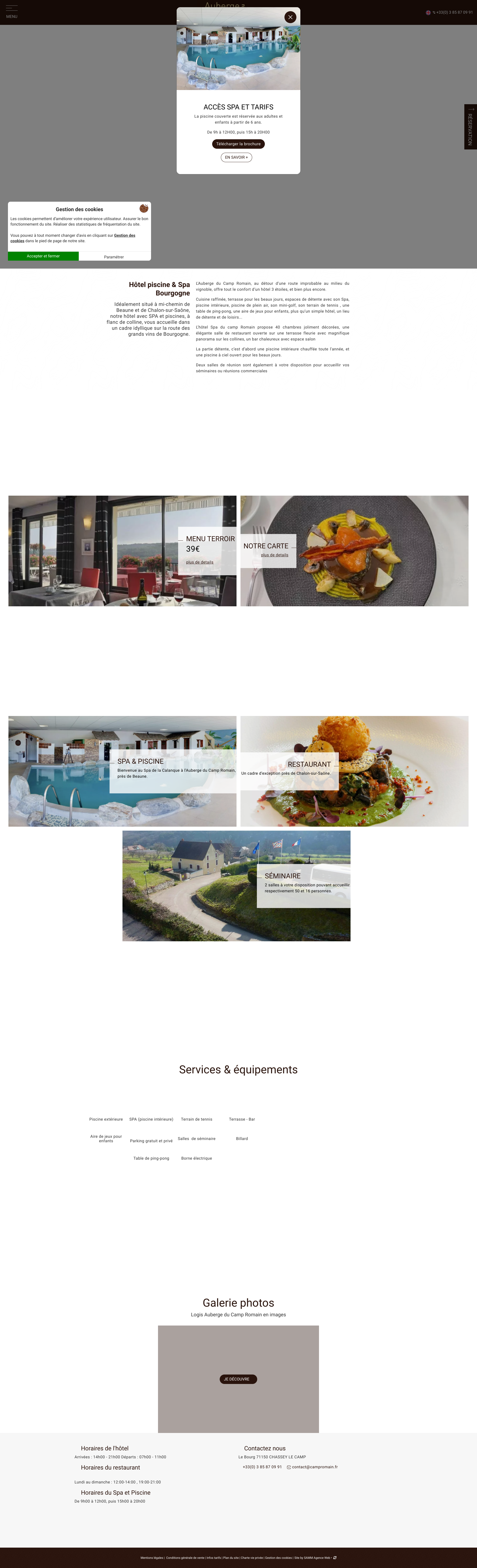 Aperçu du site