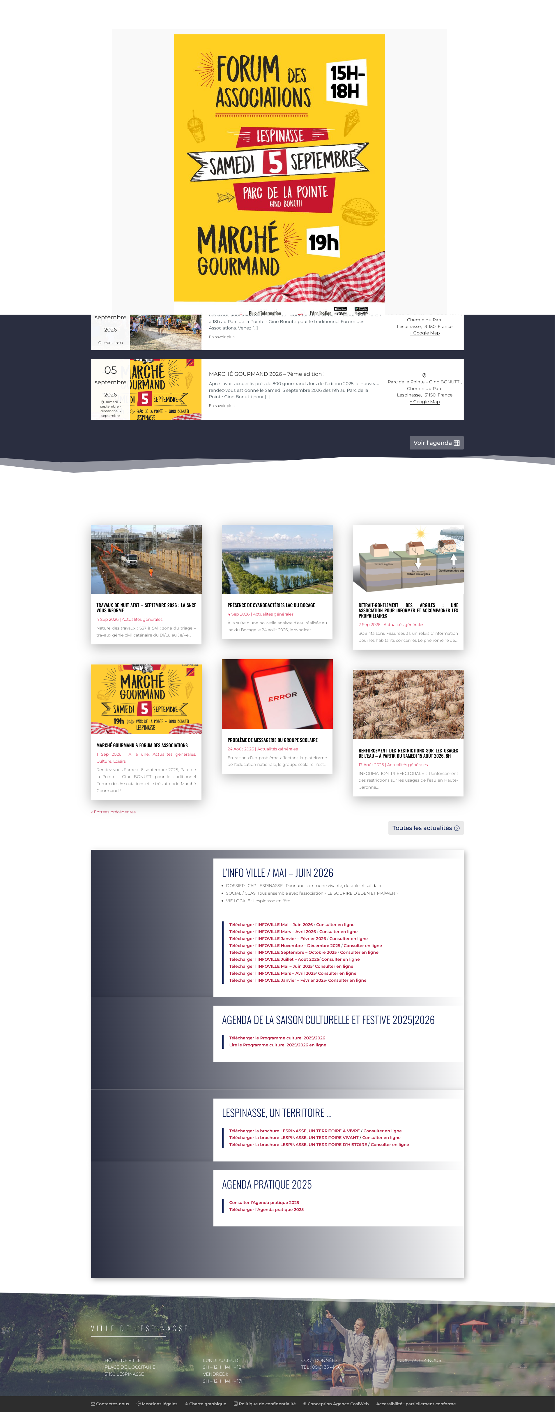 Aperçu du site