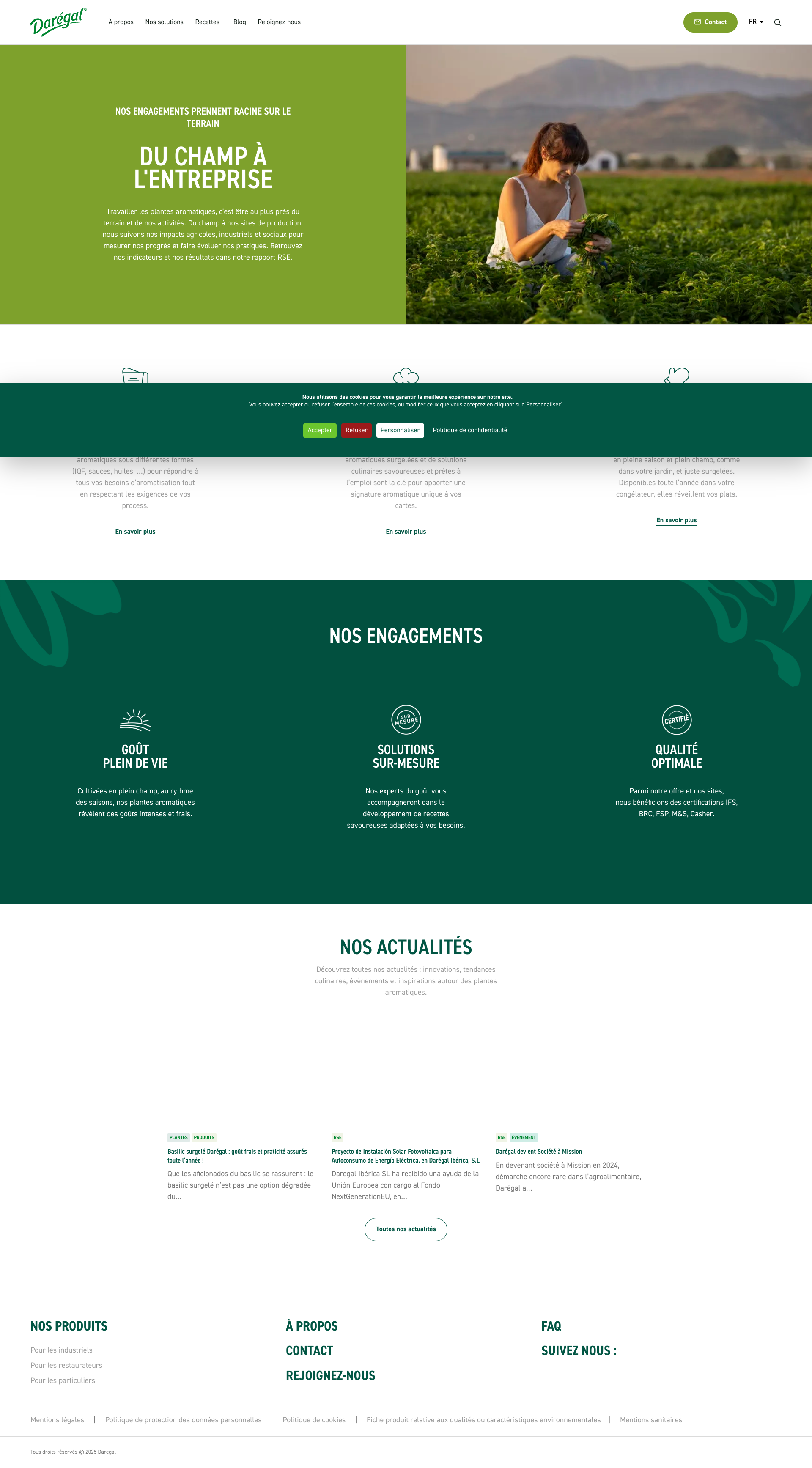 Aperçu du site