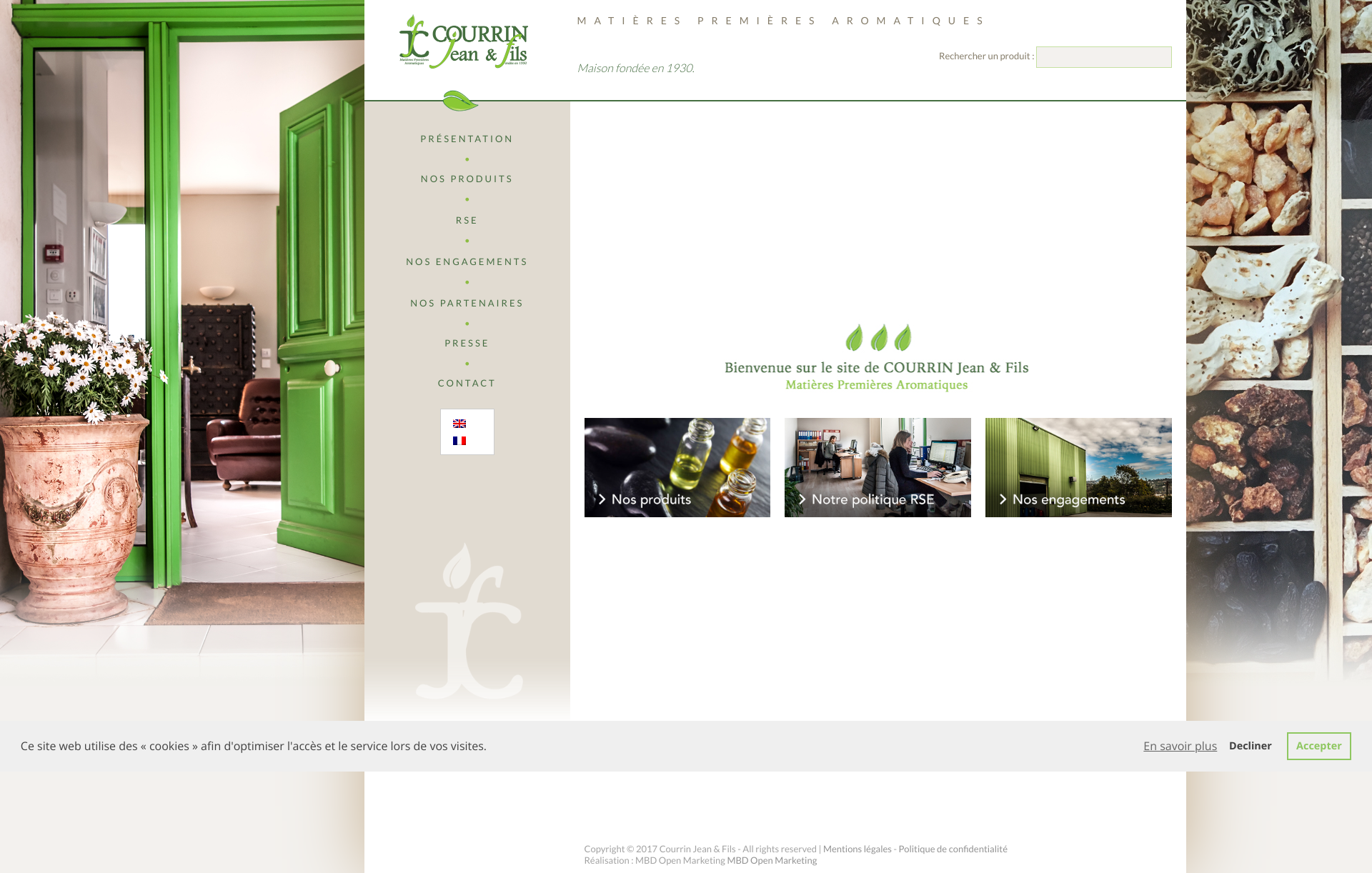 Aperçu du site