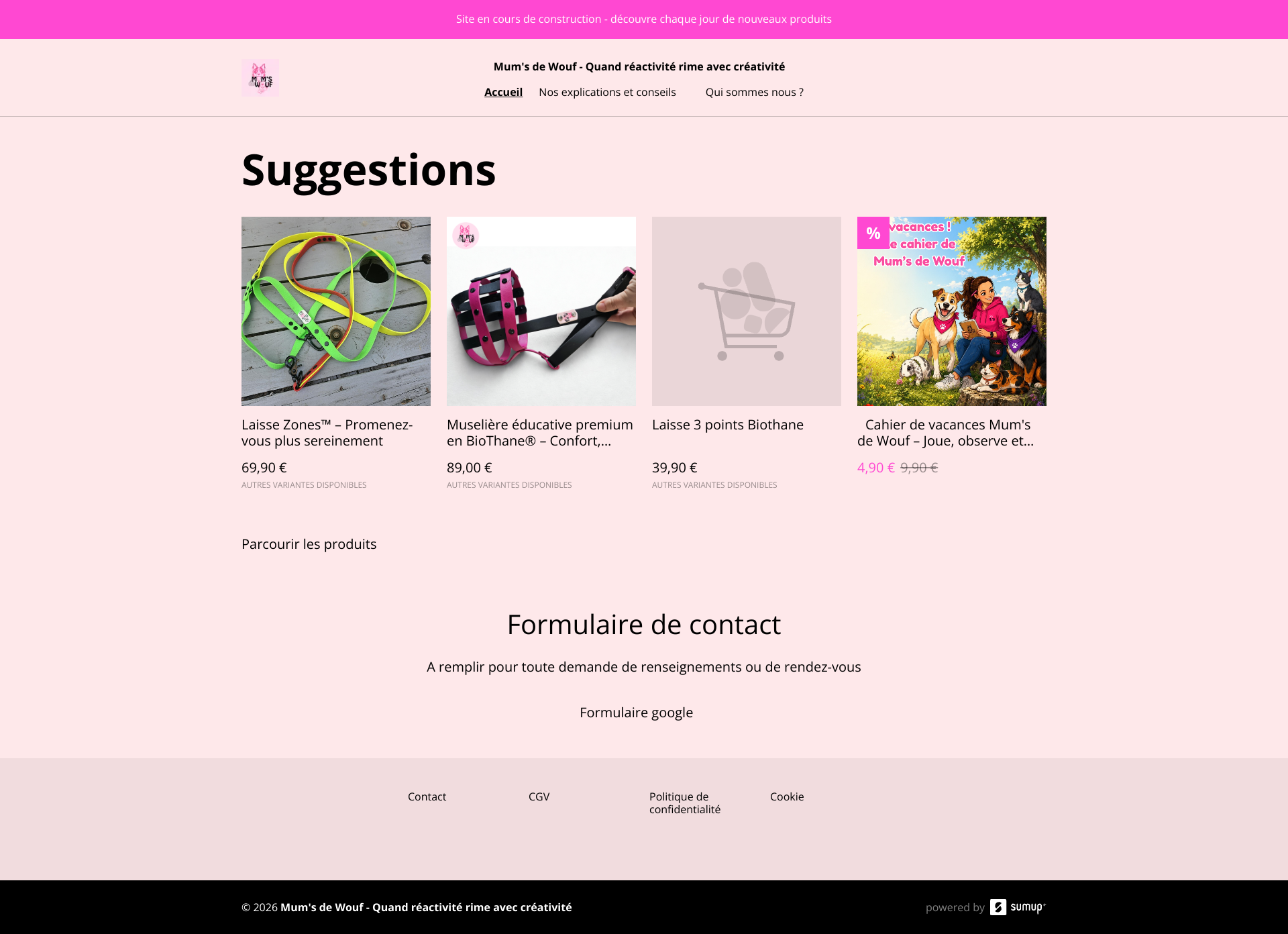Aperçu du site