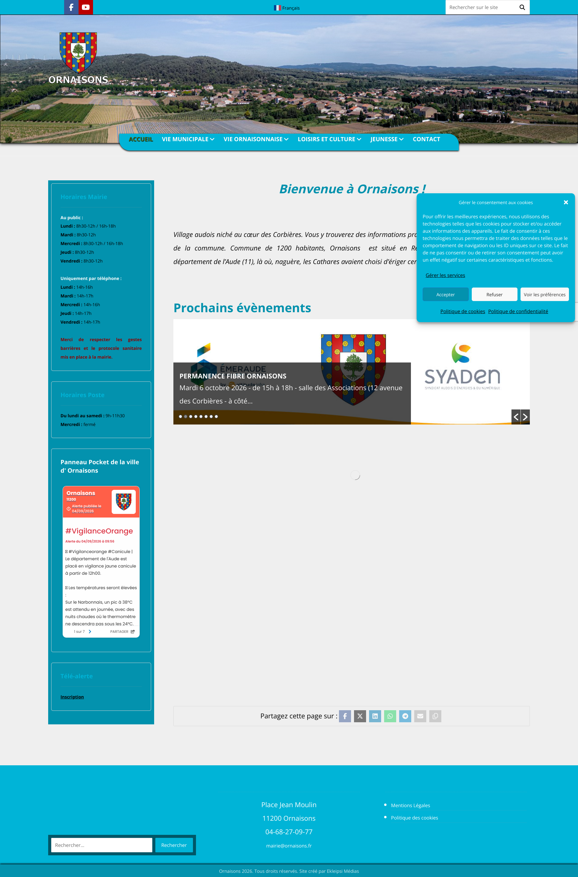 Aperçu du site