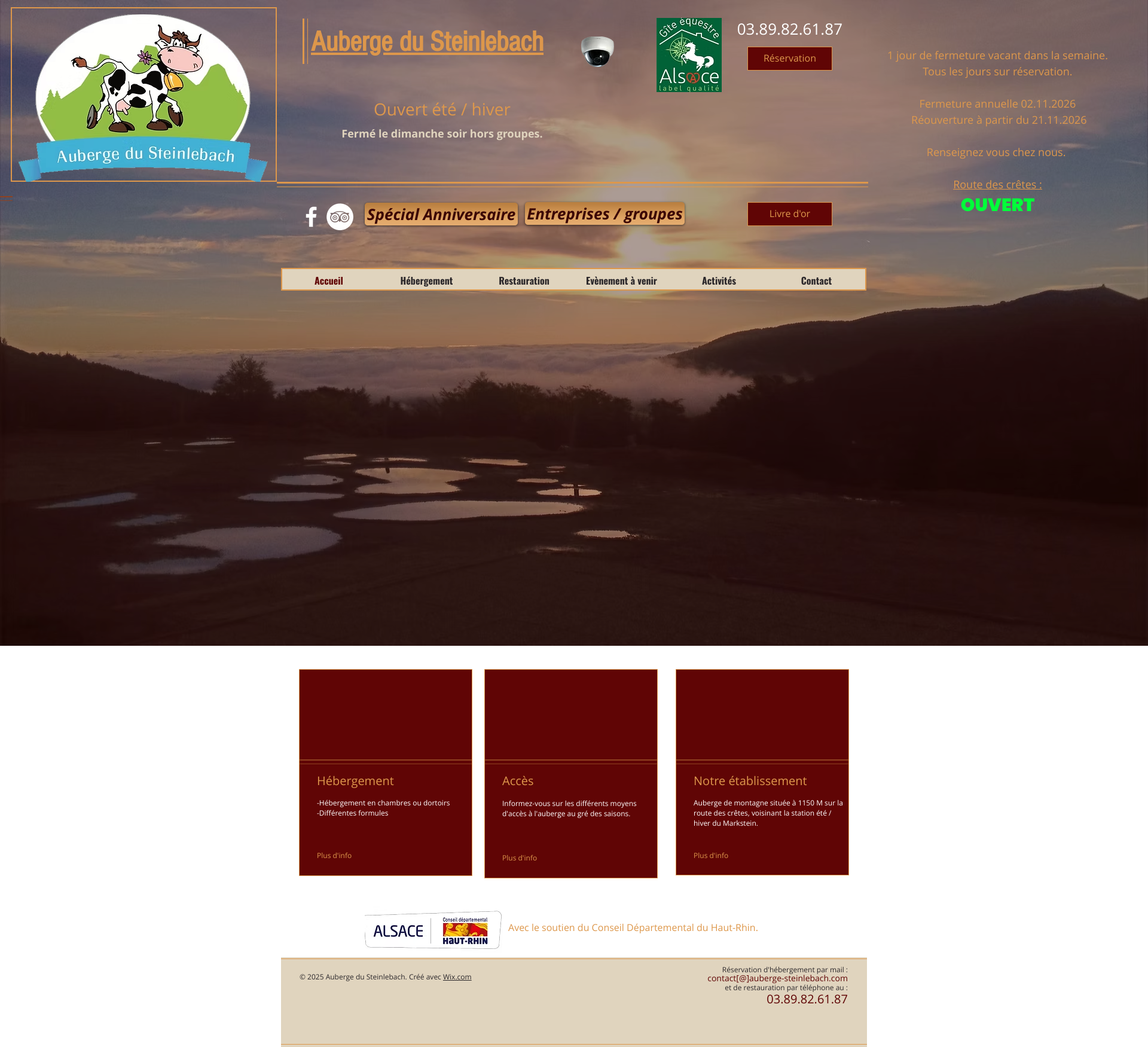 Aperçu du site