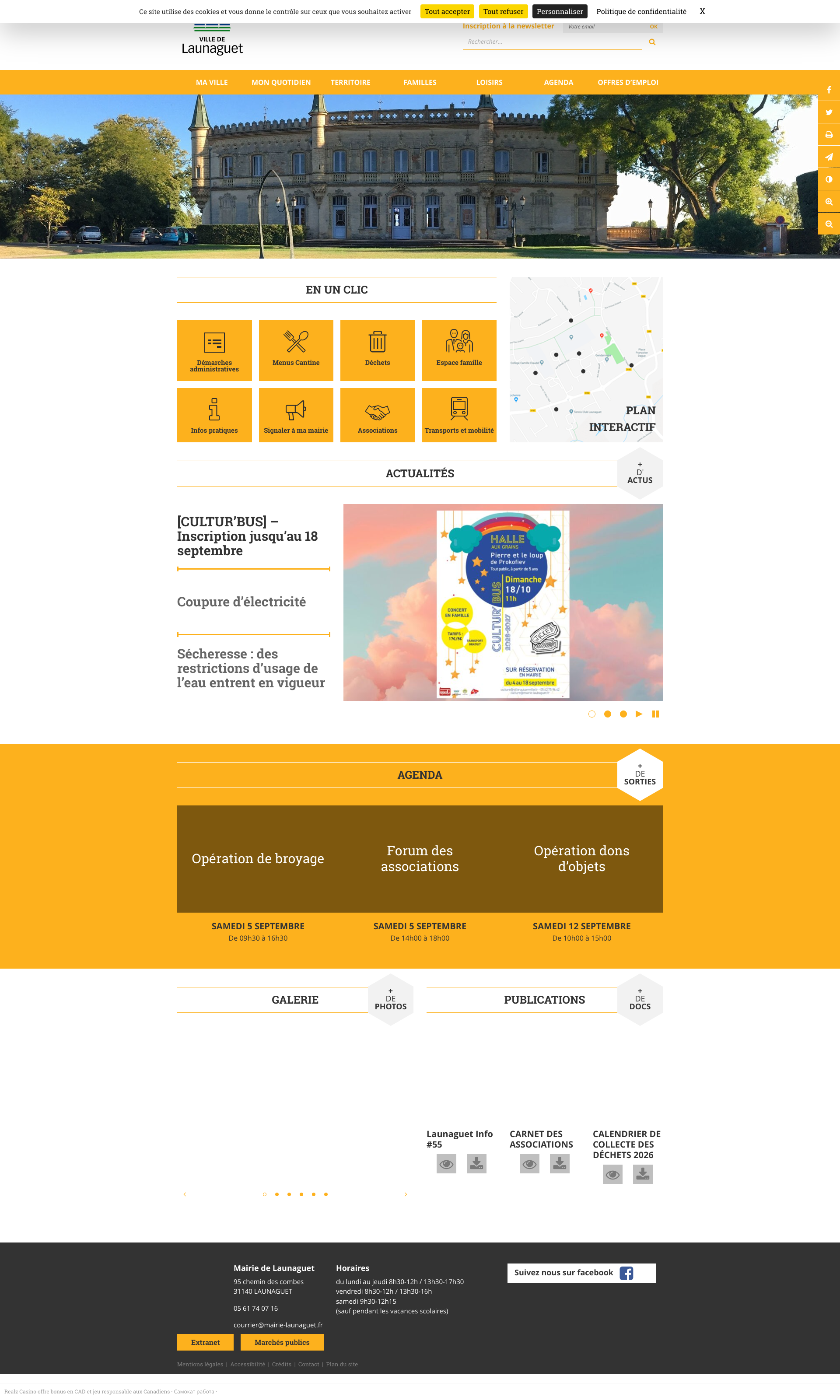 Aperçu du site