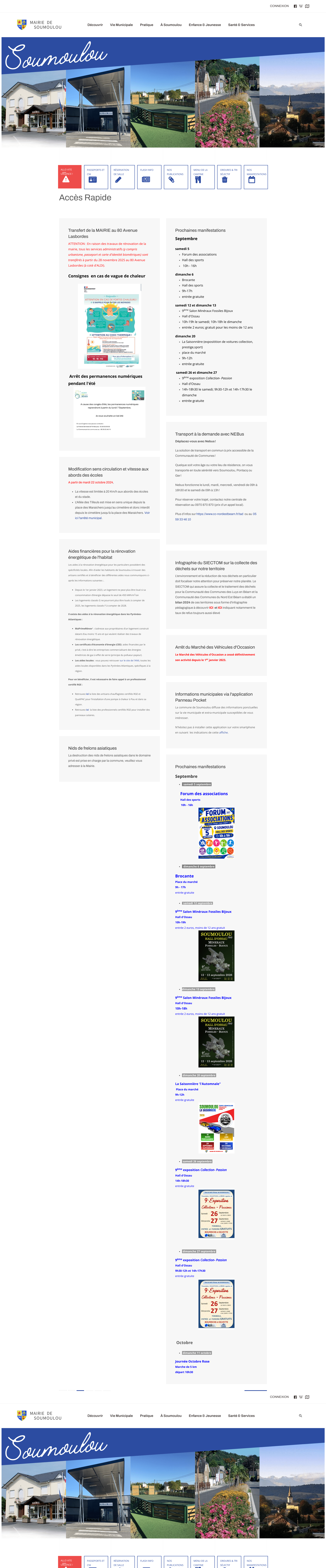 Aperçu du site