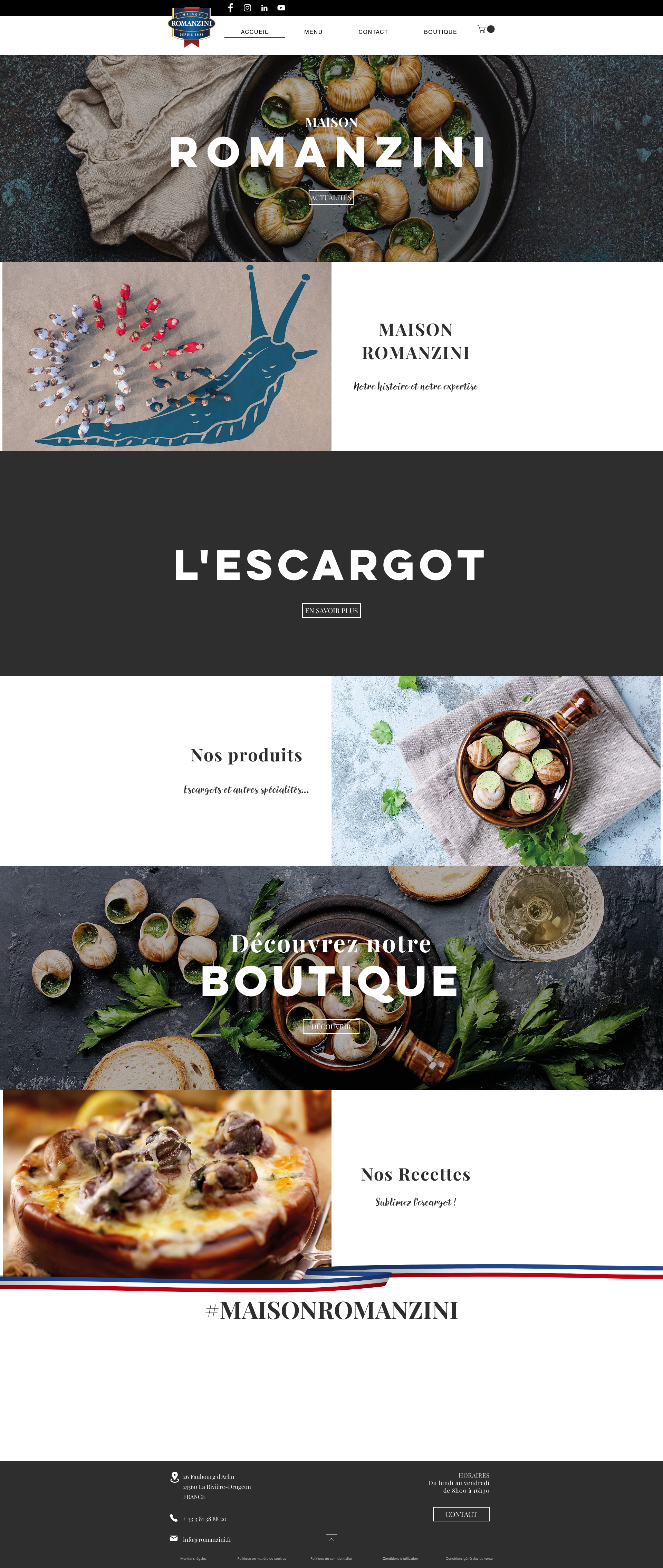 Aperçu du site