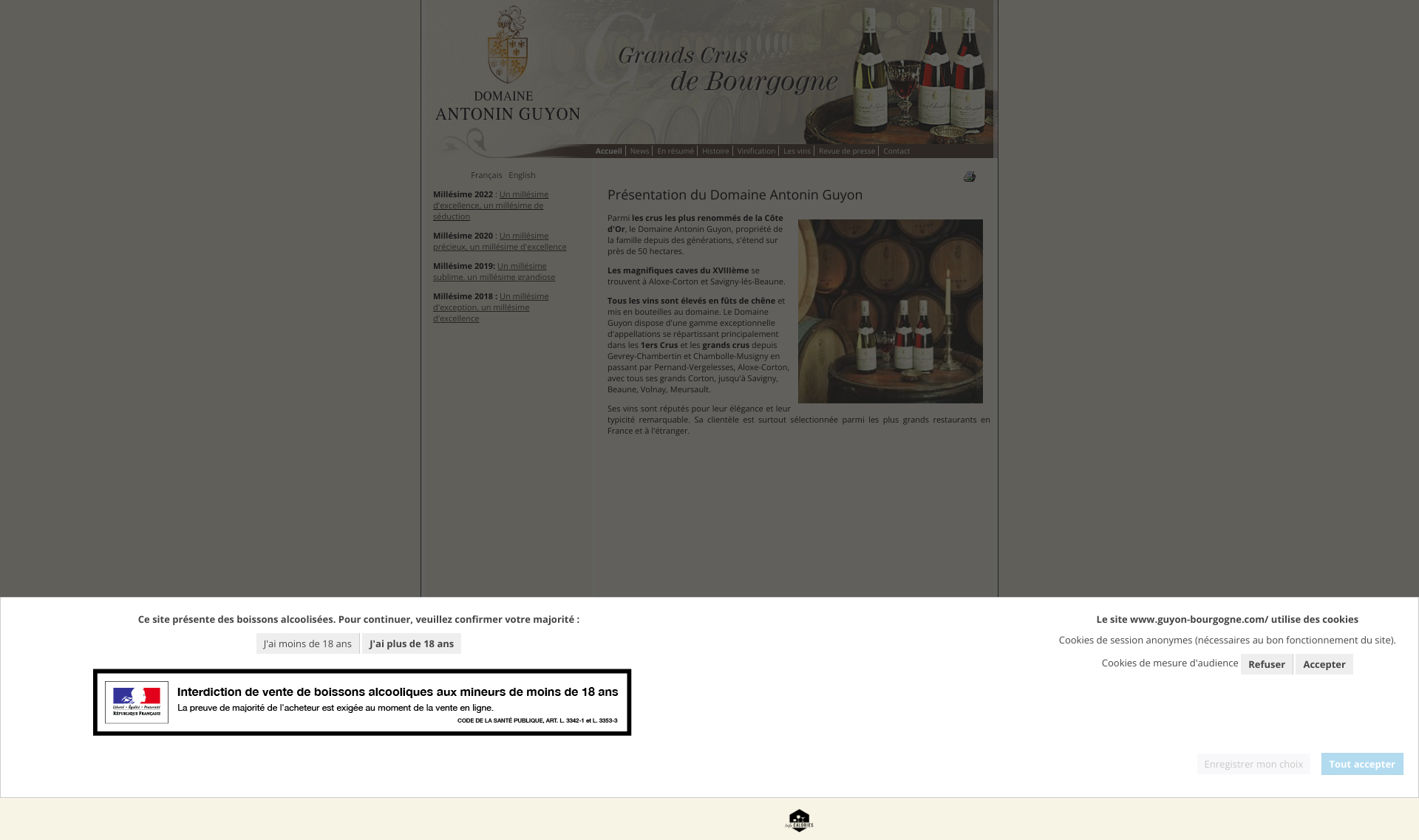 Aperçu du site