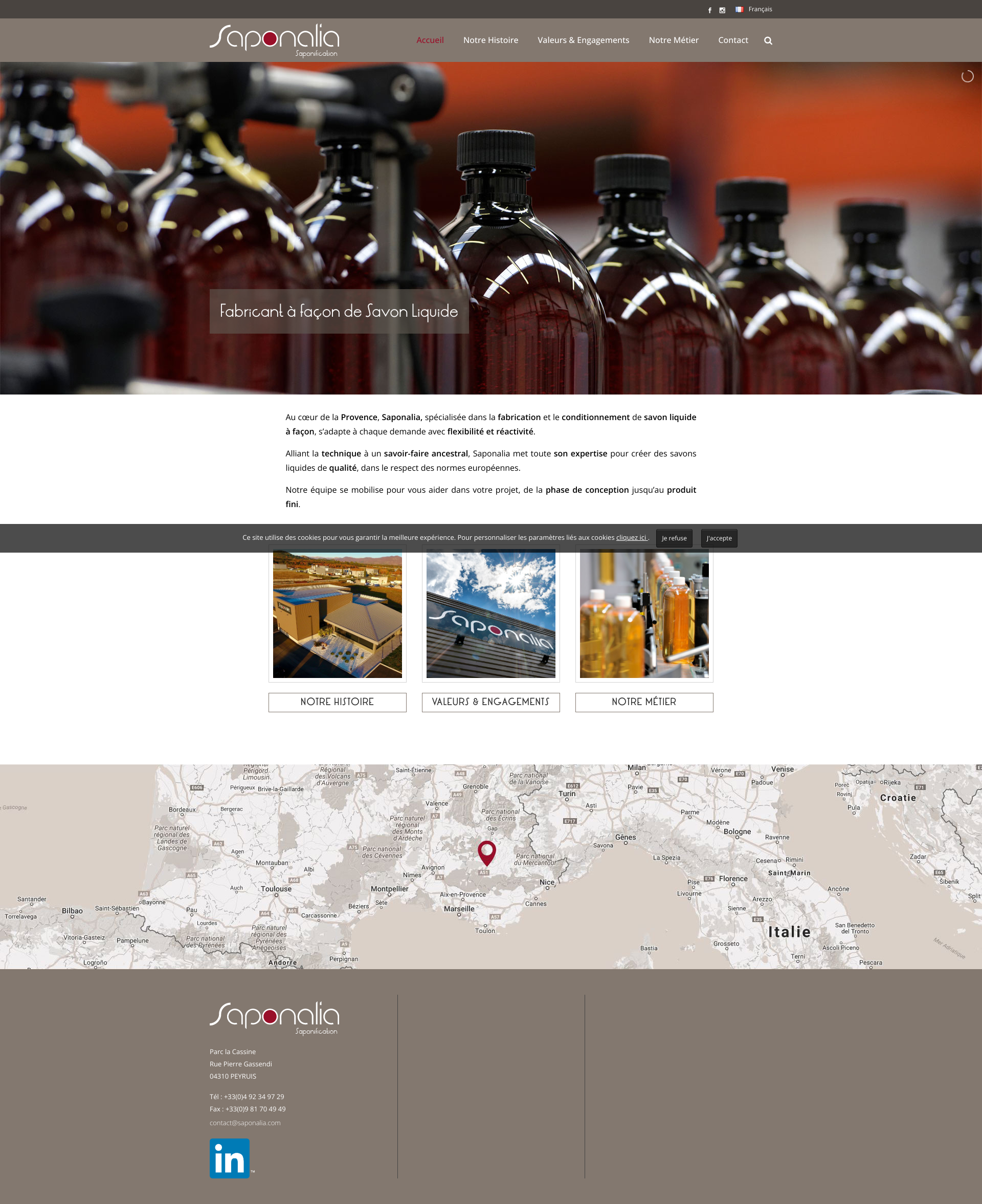 Aperçu du site