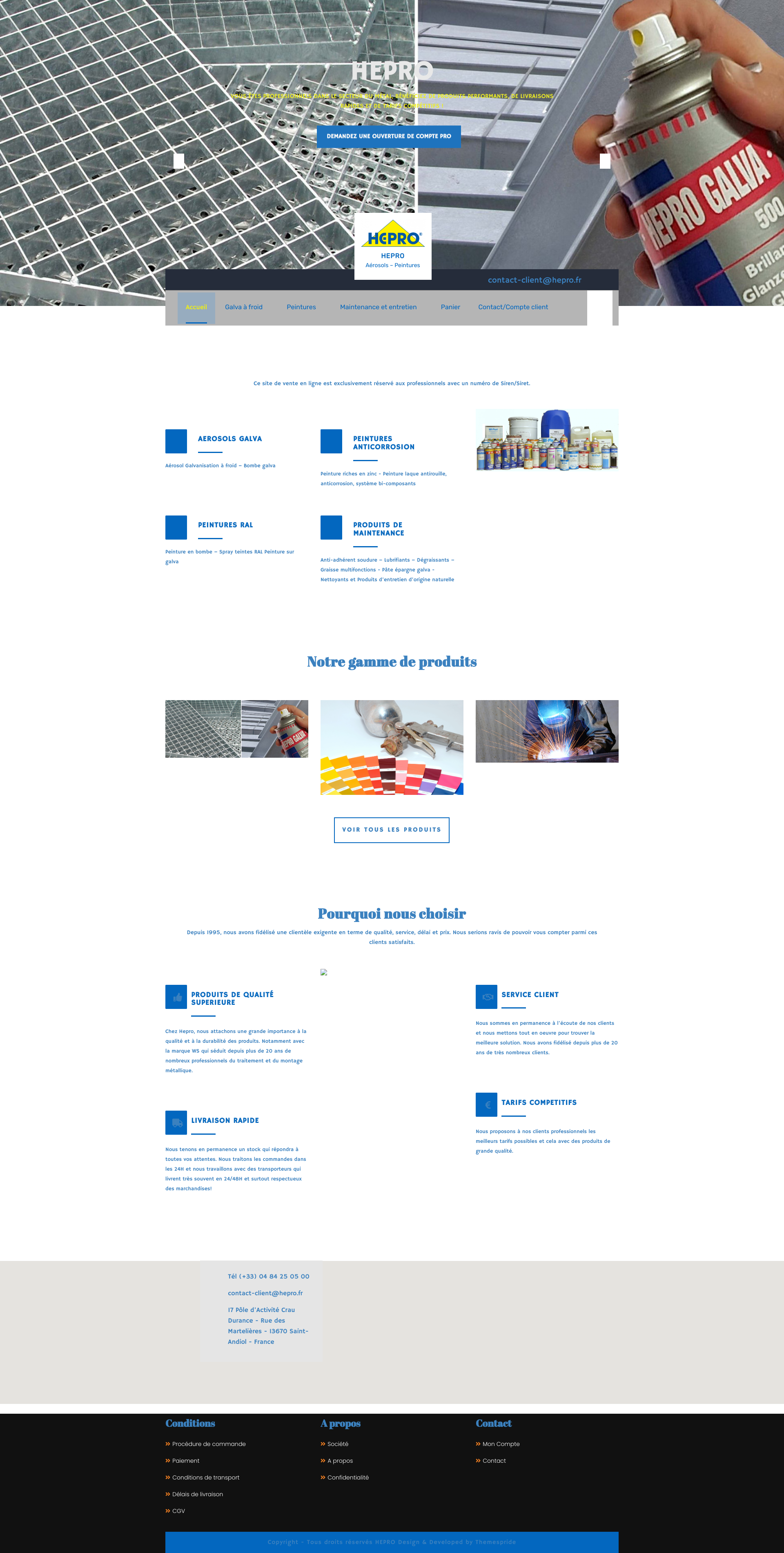 Aperçu du site