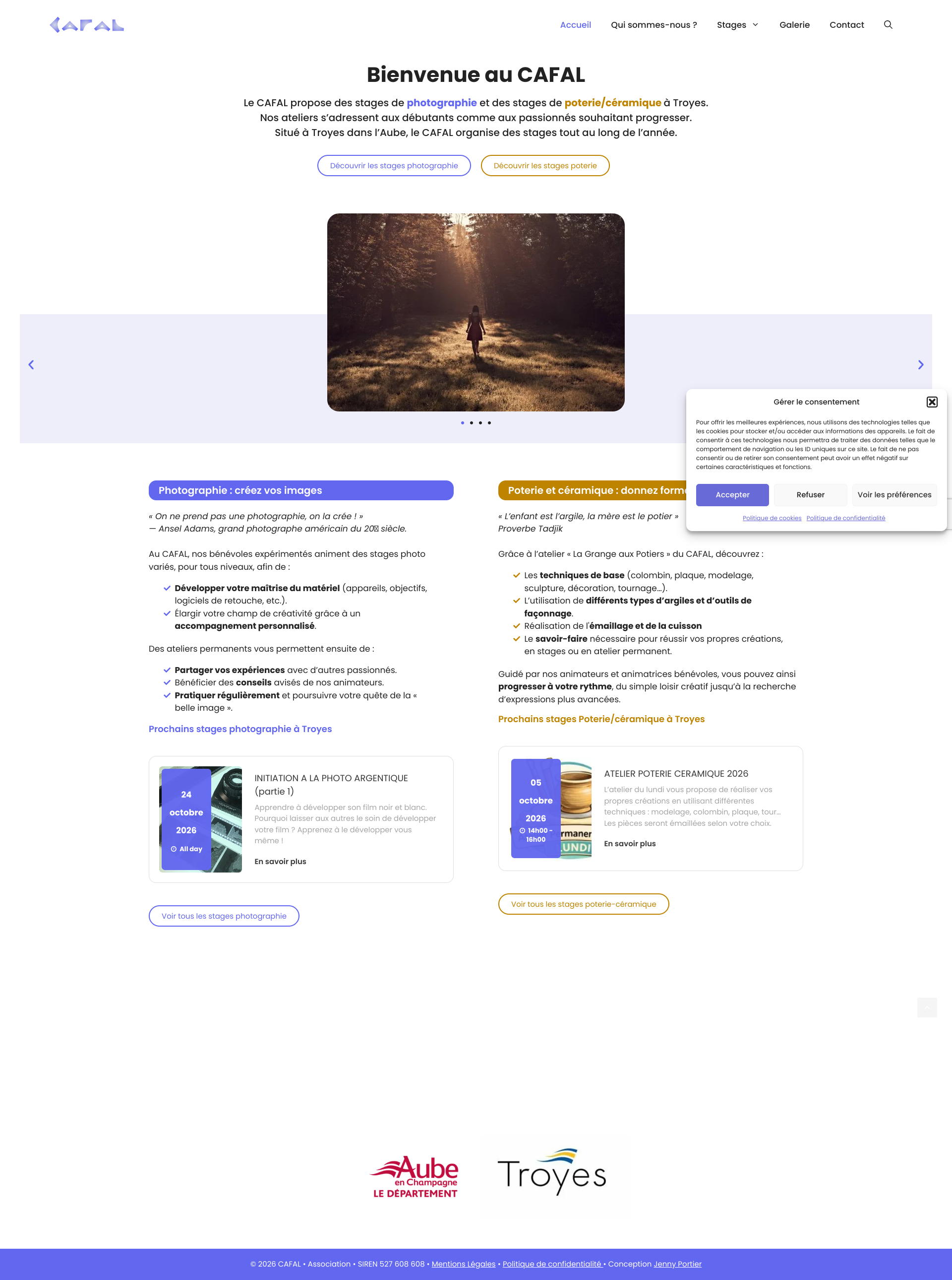 Aperçu du site