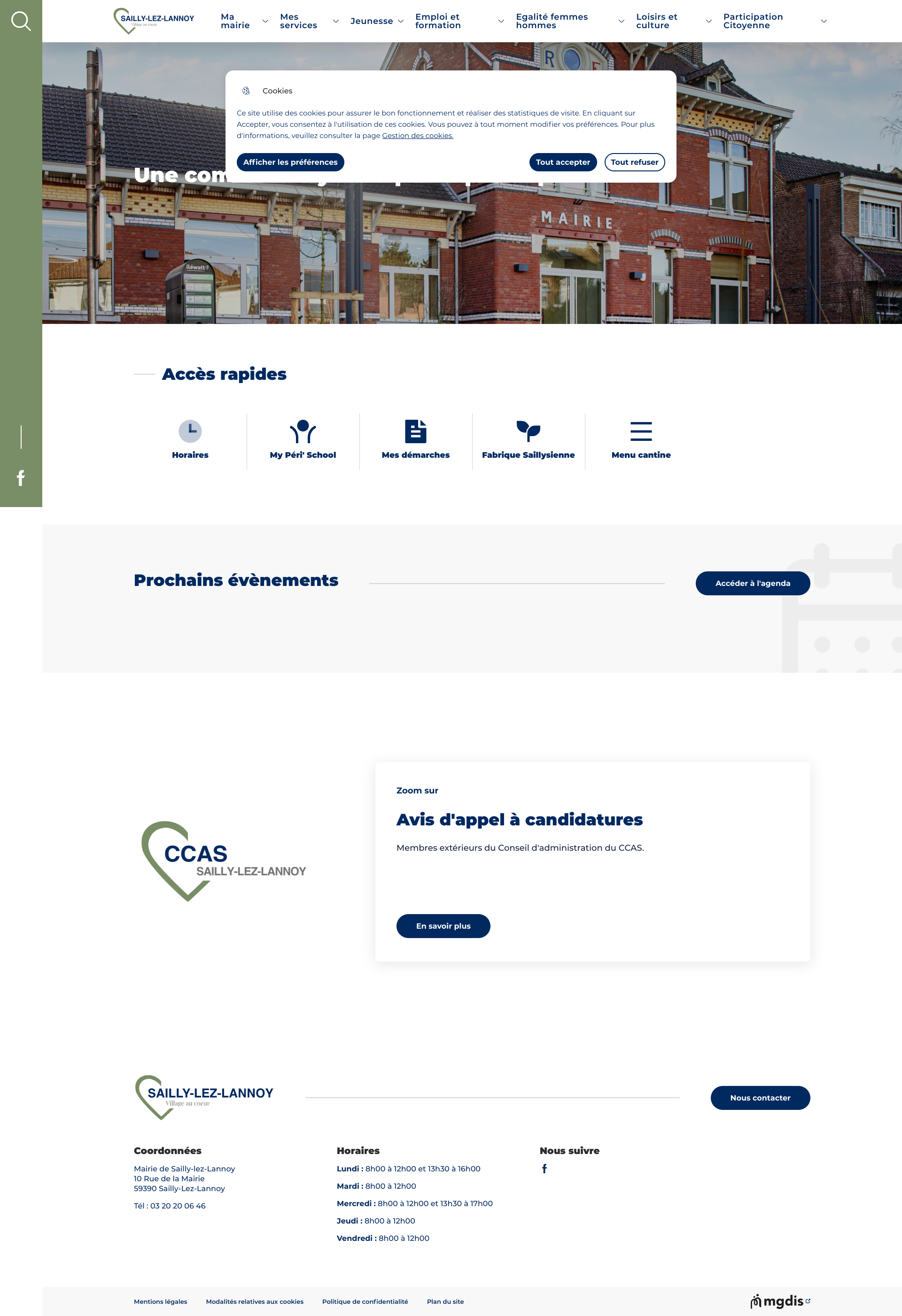 Aperçu du site
