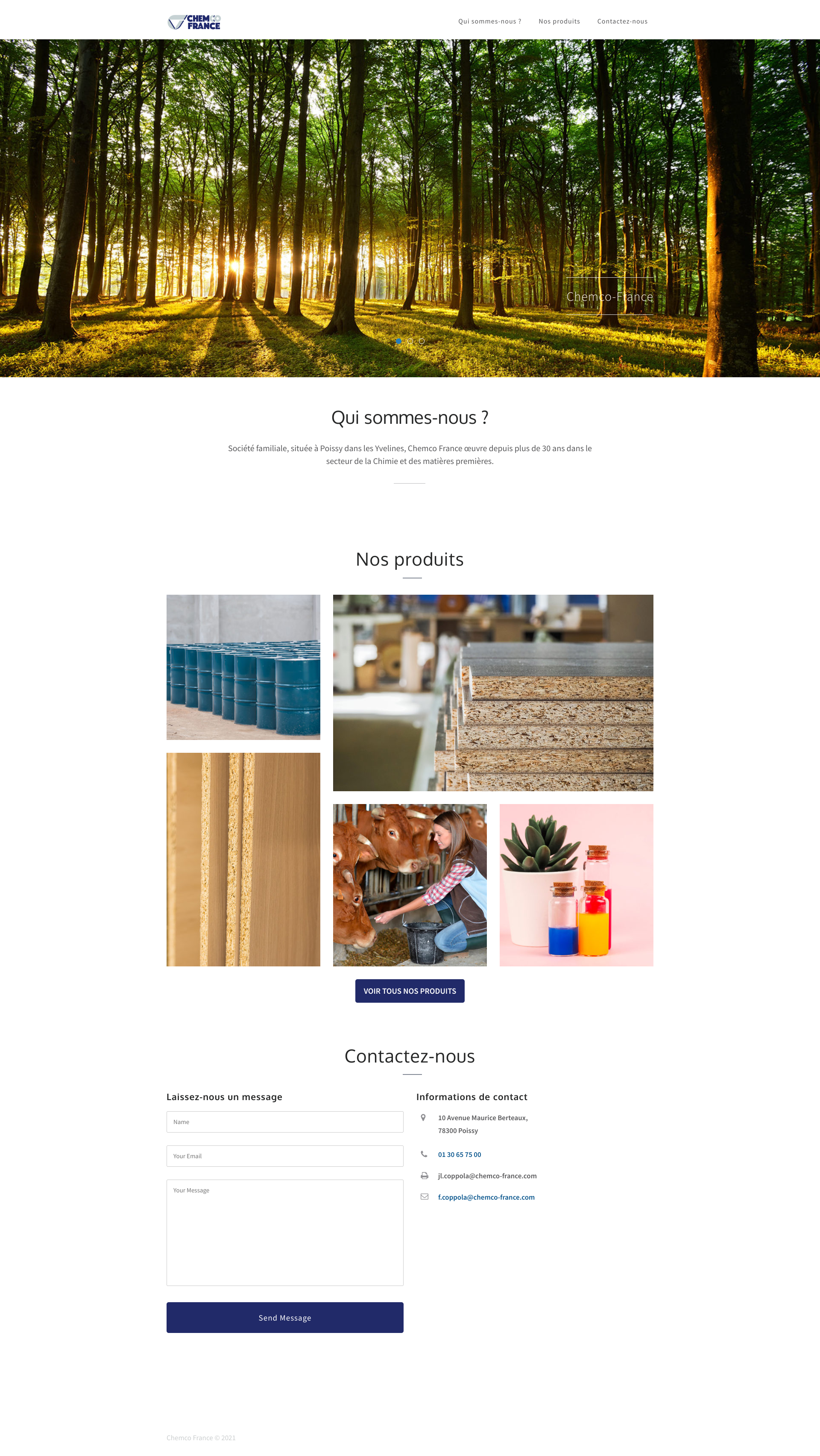 Aperçu du site