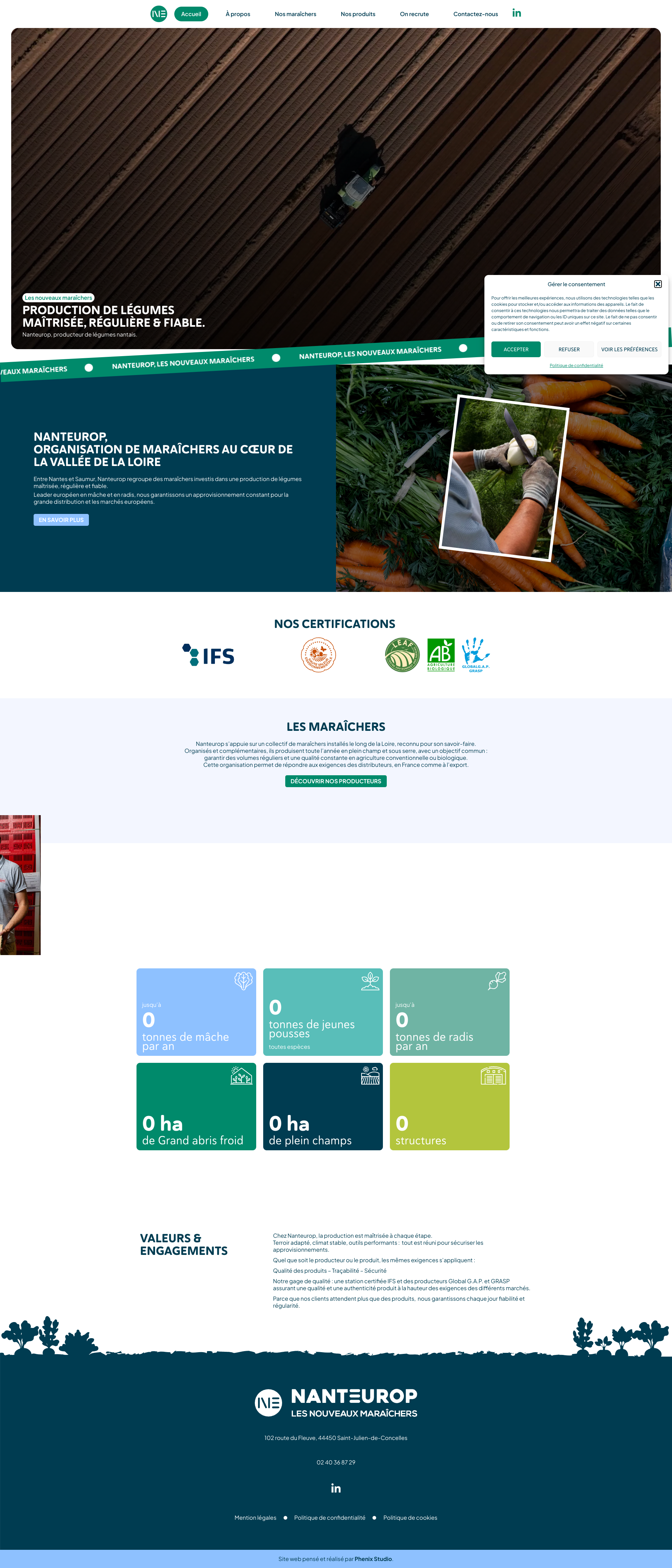 Aperçu du site