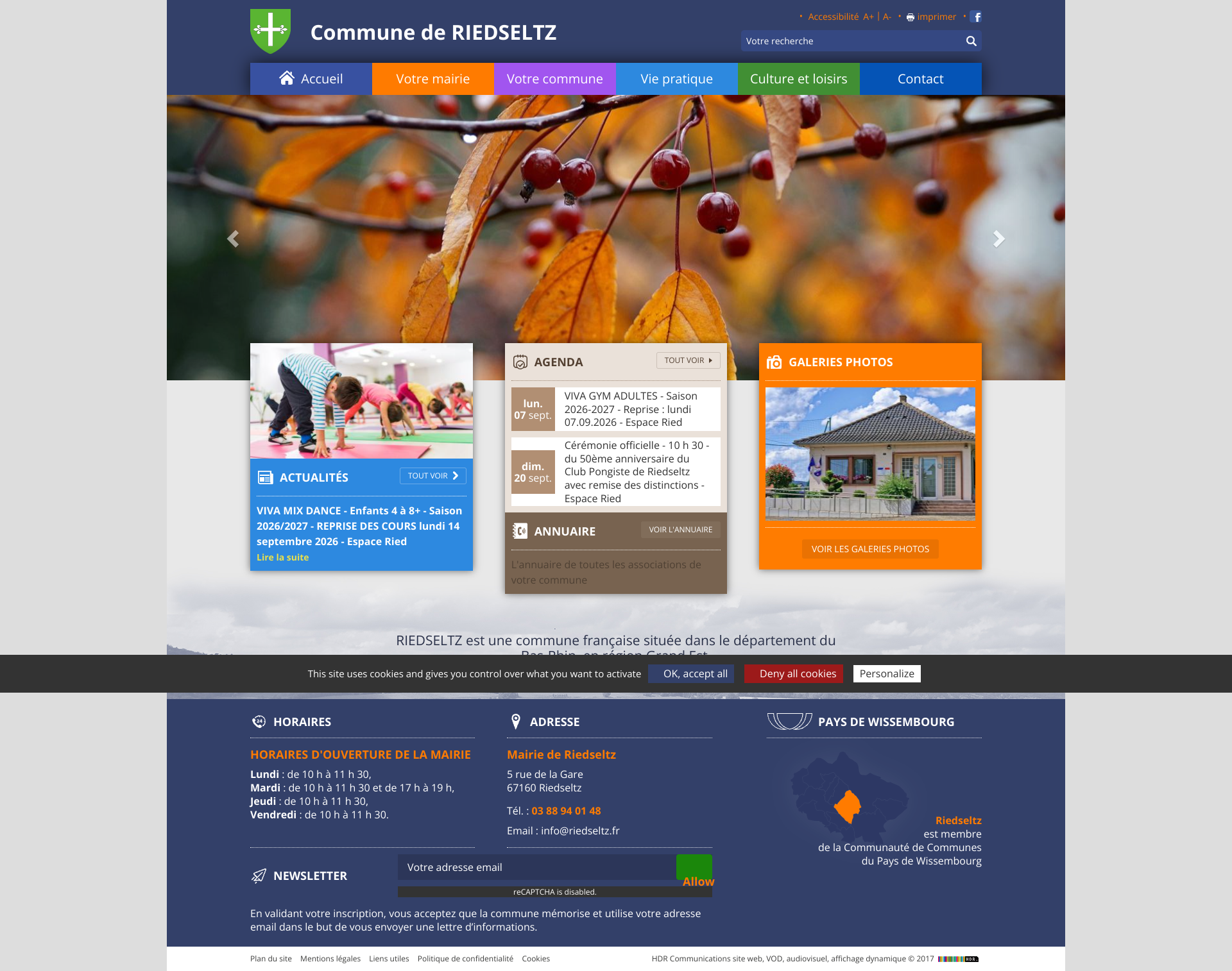 Aperçu du site