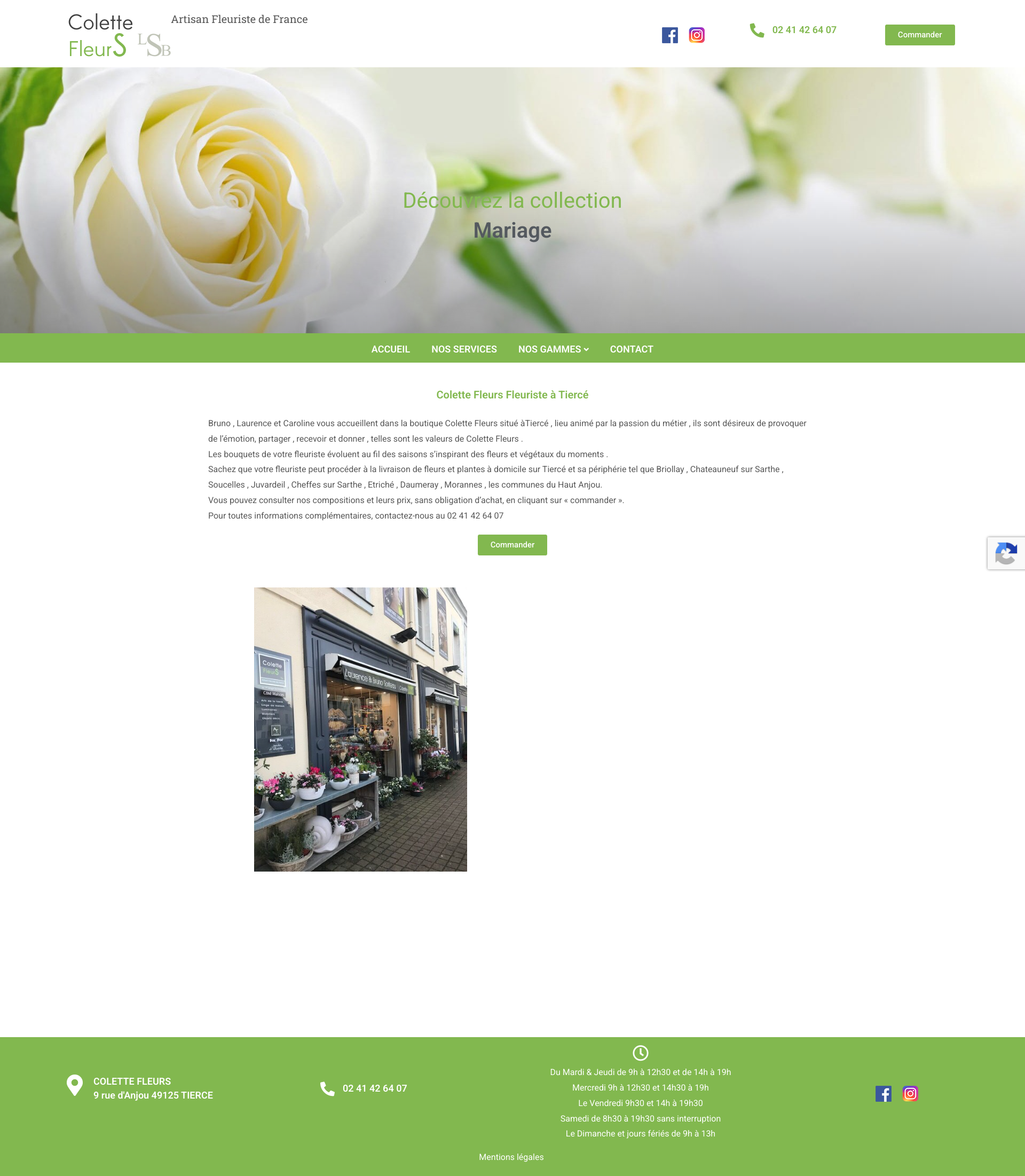 Aperçu du site