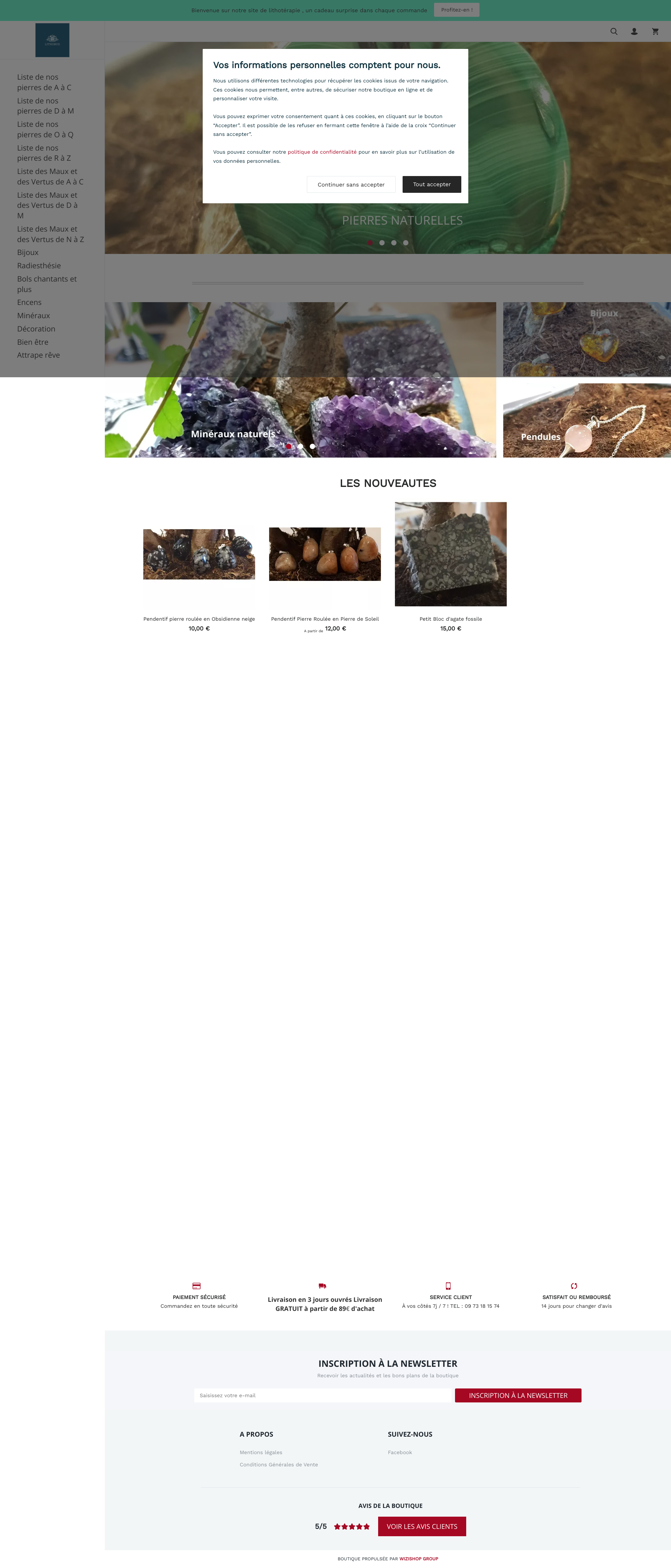 Aperçu du site