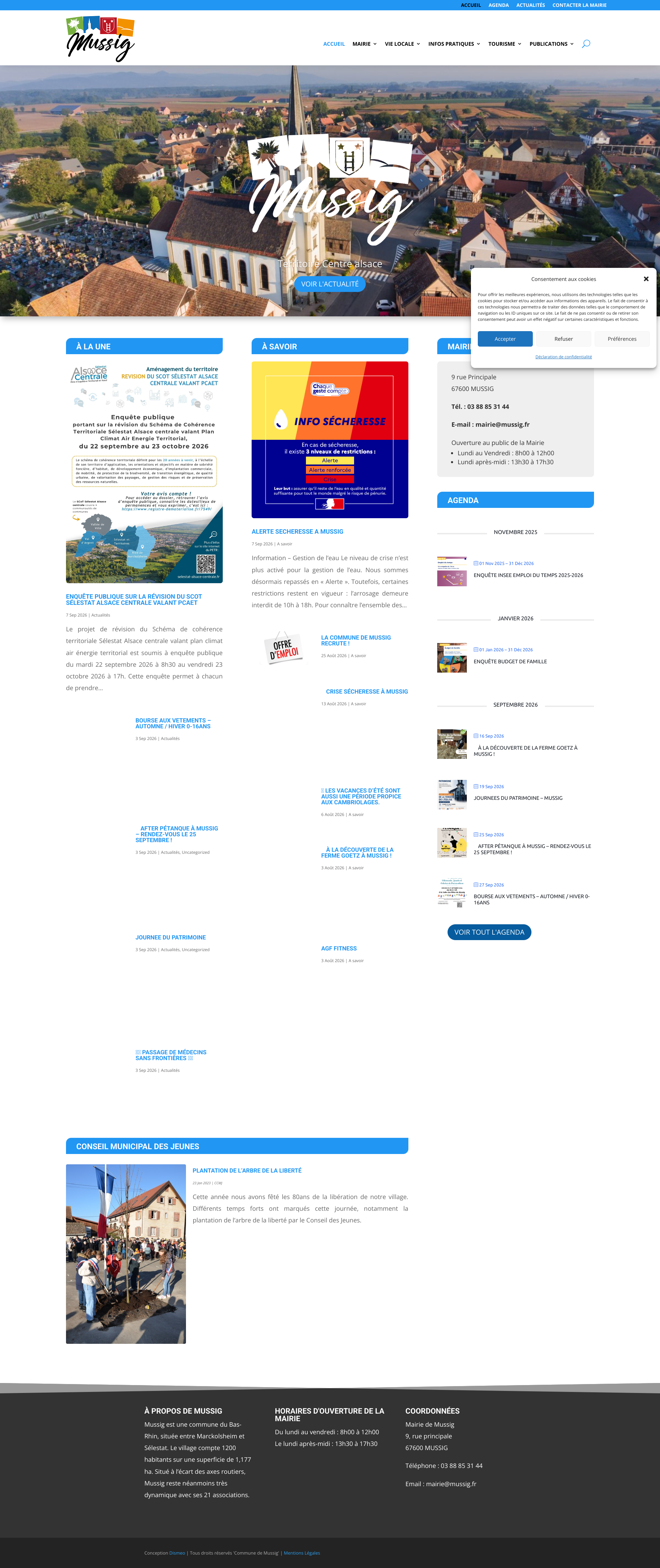 Aperçu du site
