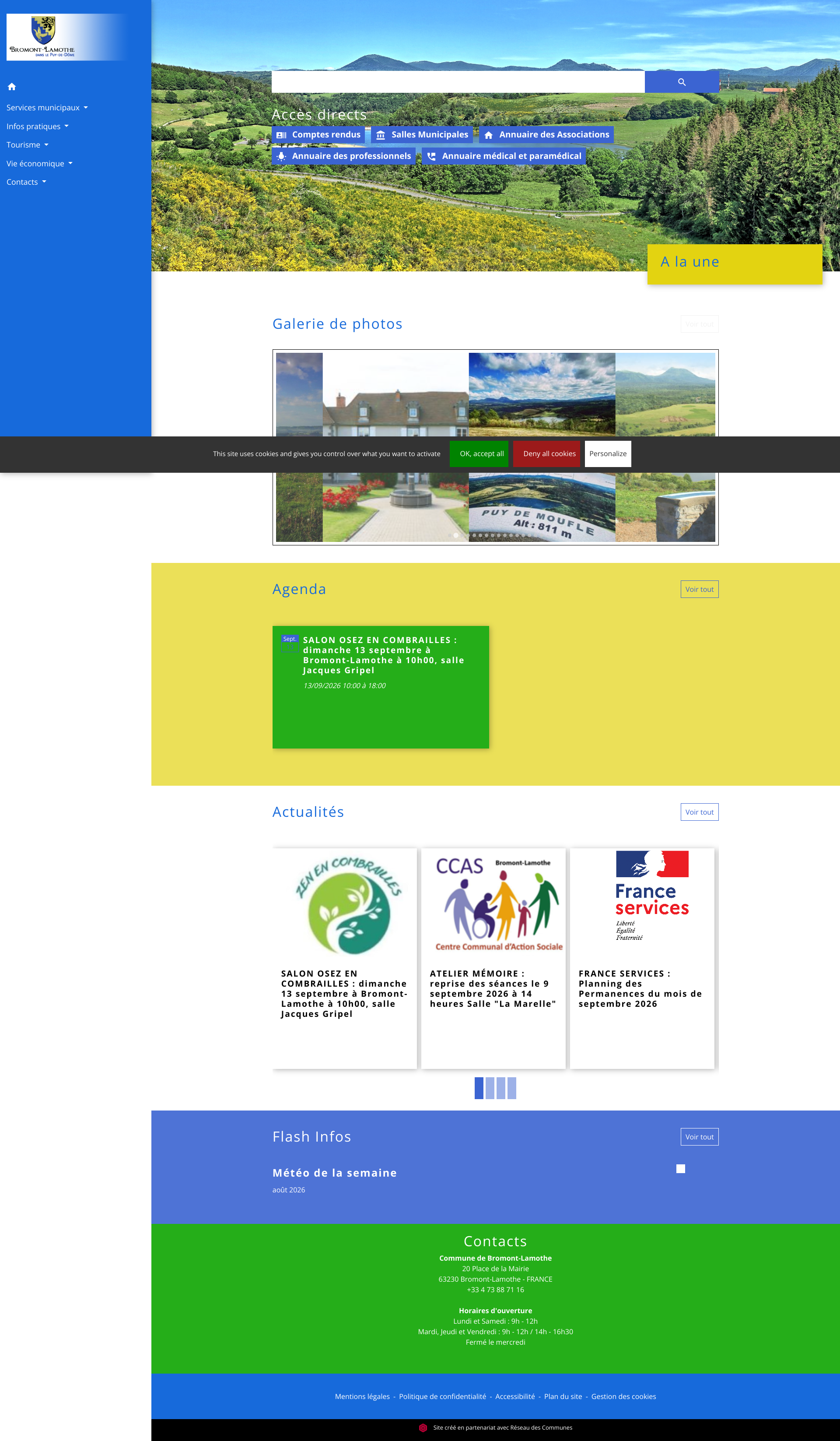 Aperçu du site