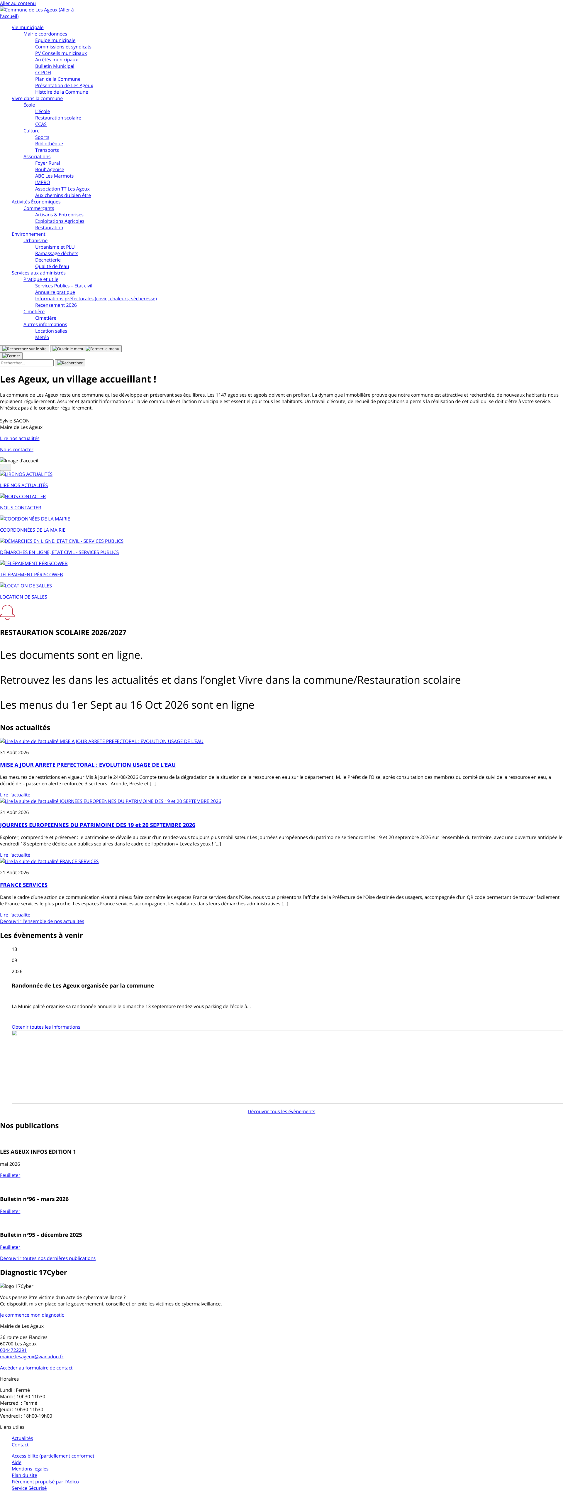 Aperçu du site
