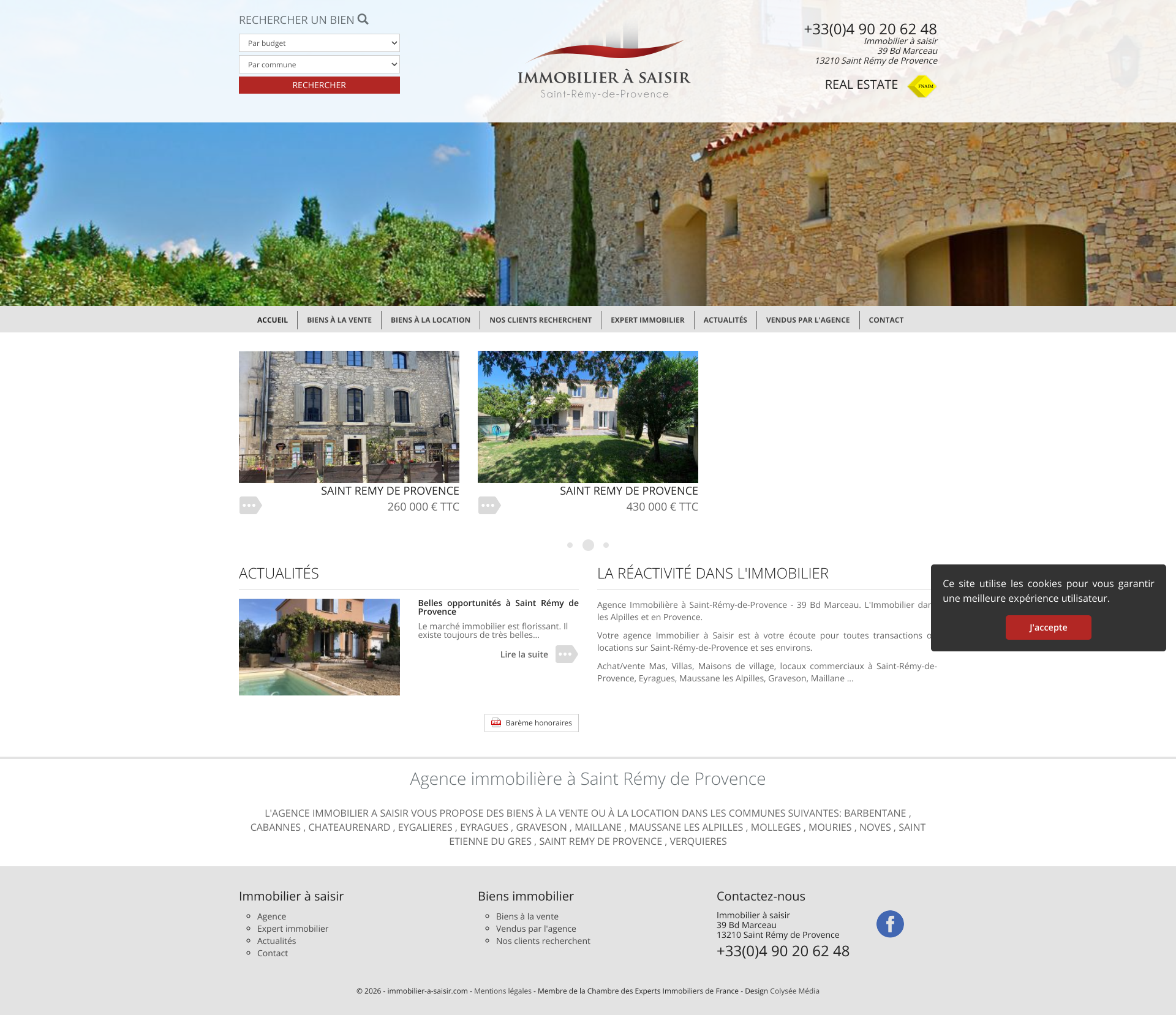 Aperçu du site