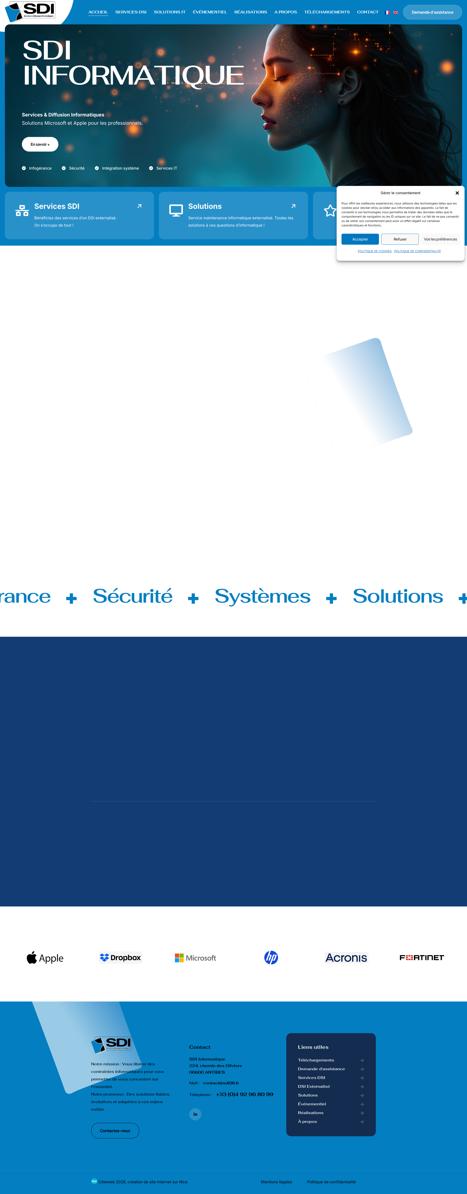 Aperçu du site