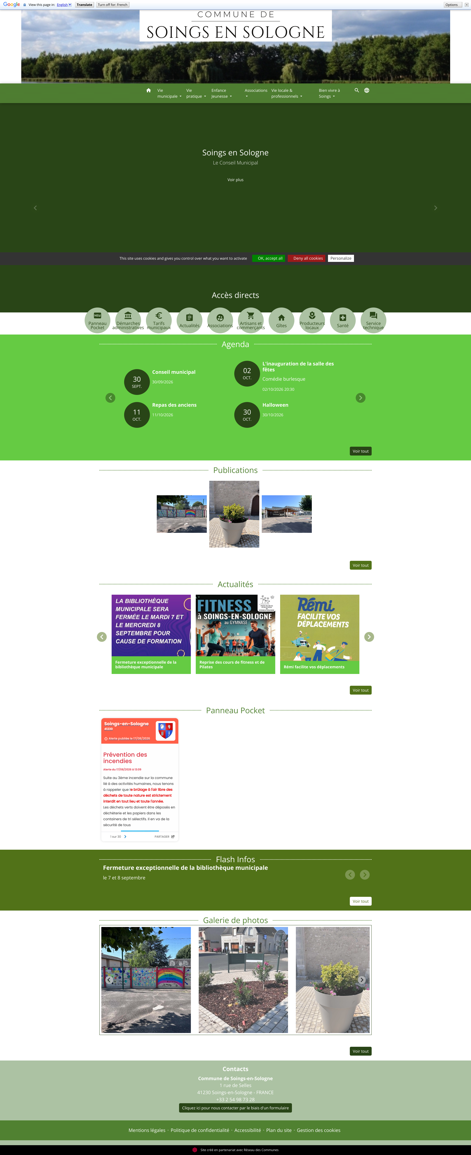 Aperçu du site