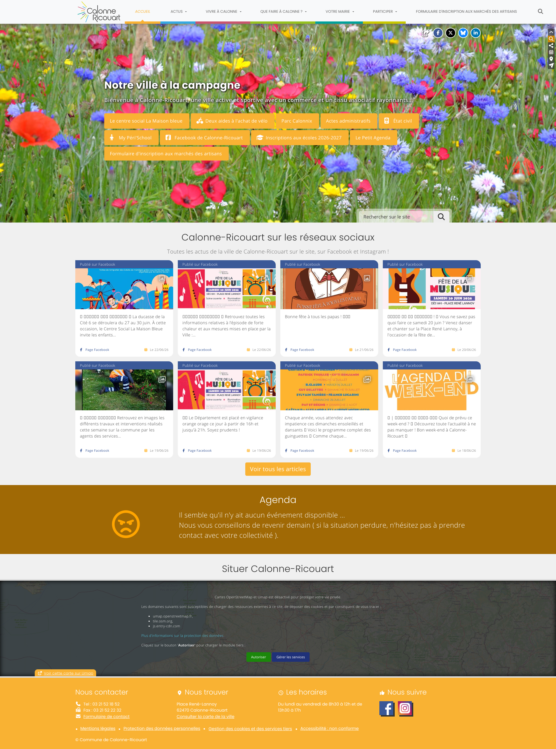 Aperçu du site
