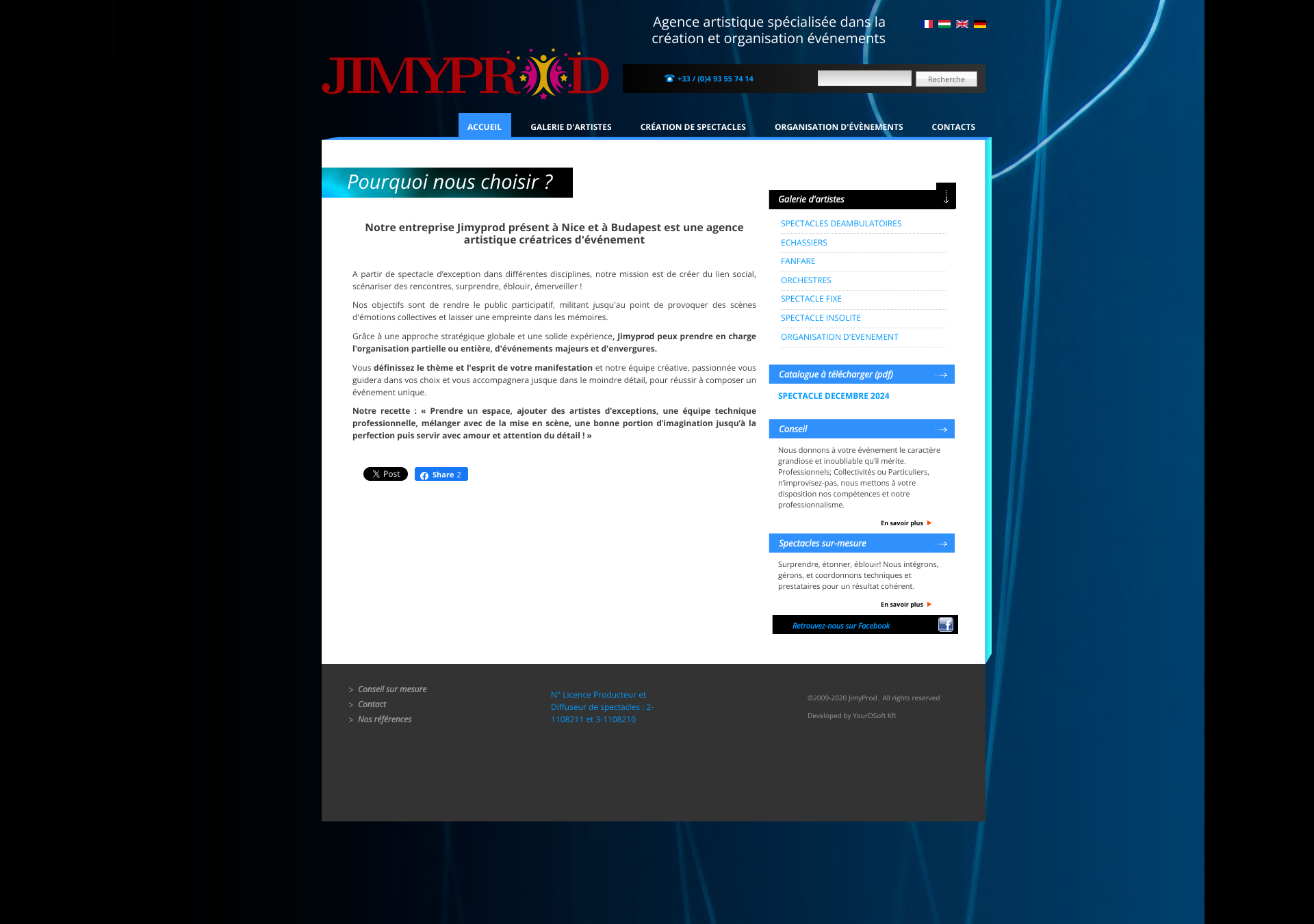 Aperçu du site