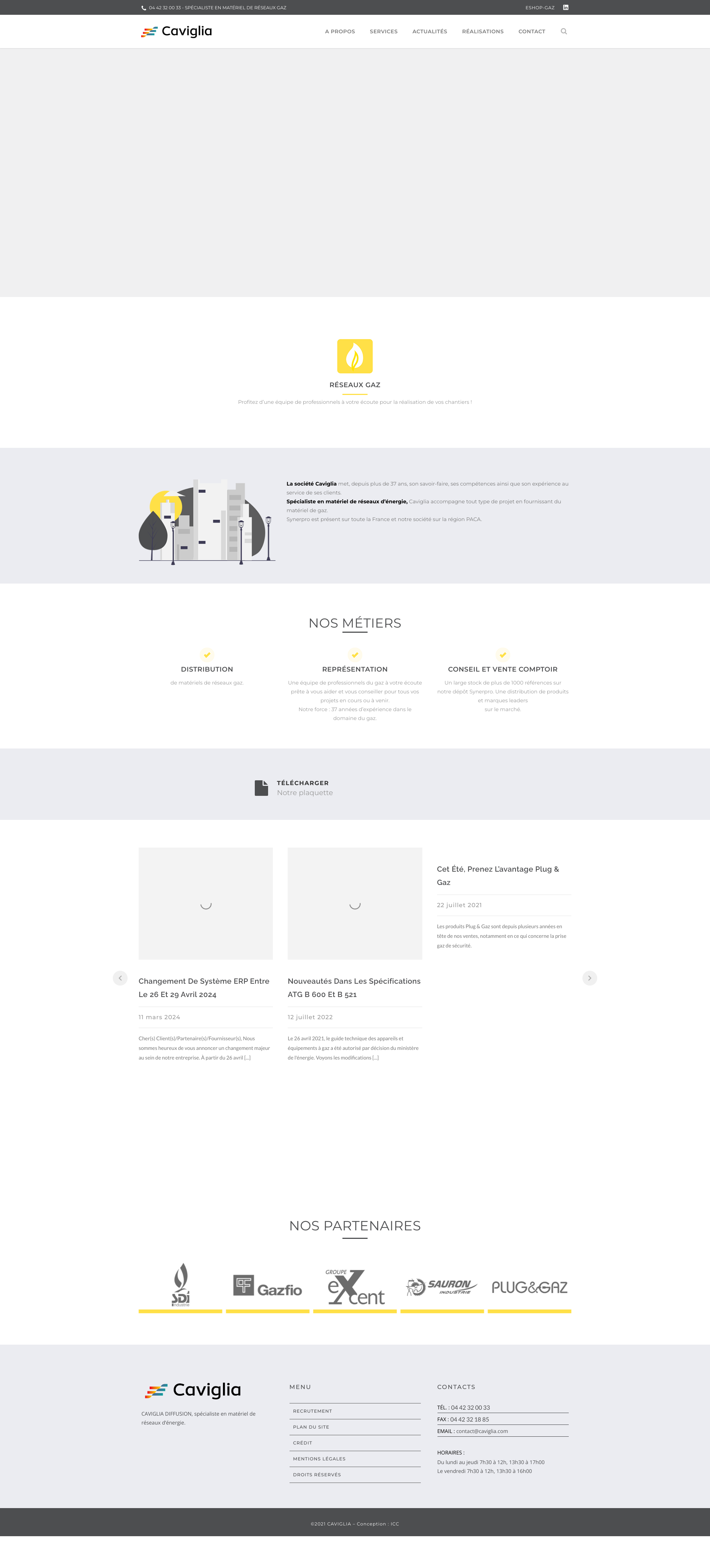 Aperçu du site