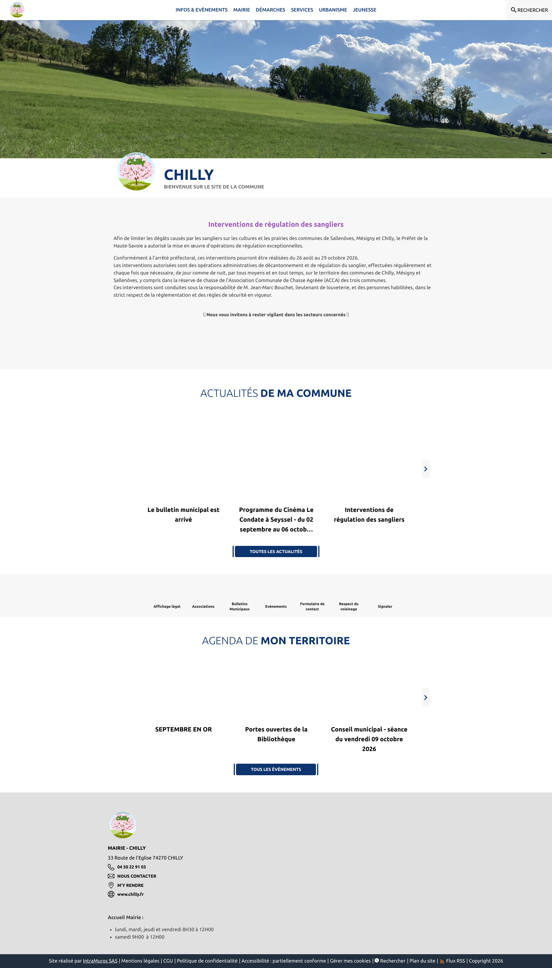 Aperçu du site