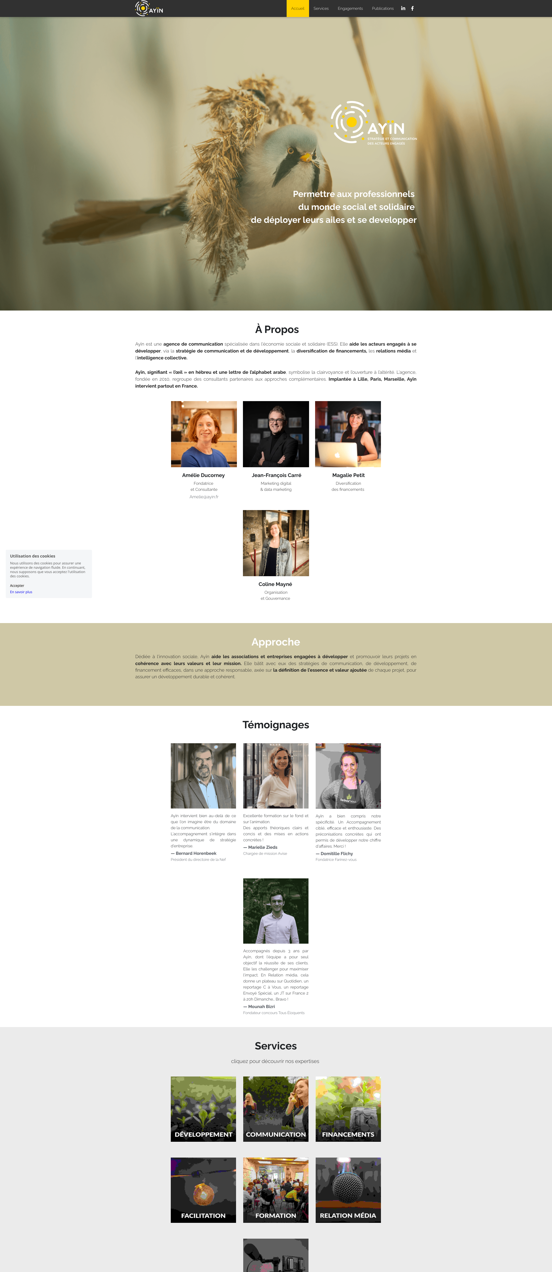 Aperçu du site