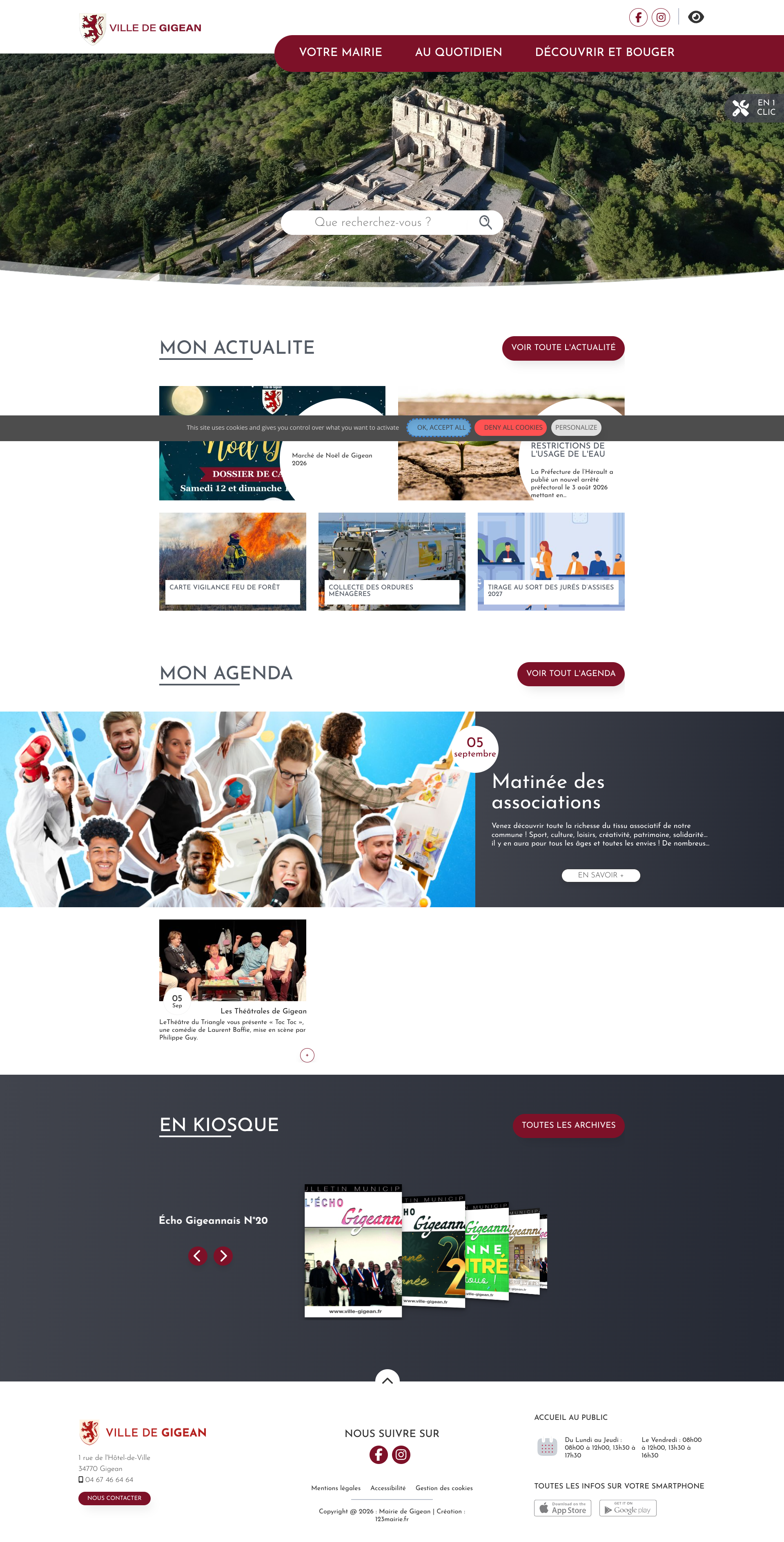 Aperçu du site
