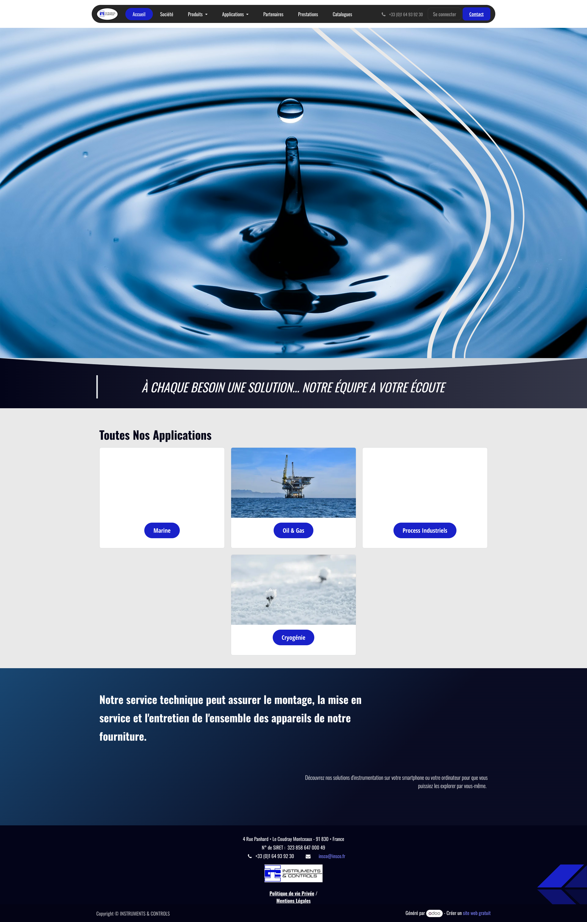 Aperçu du site