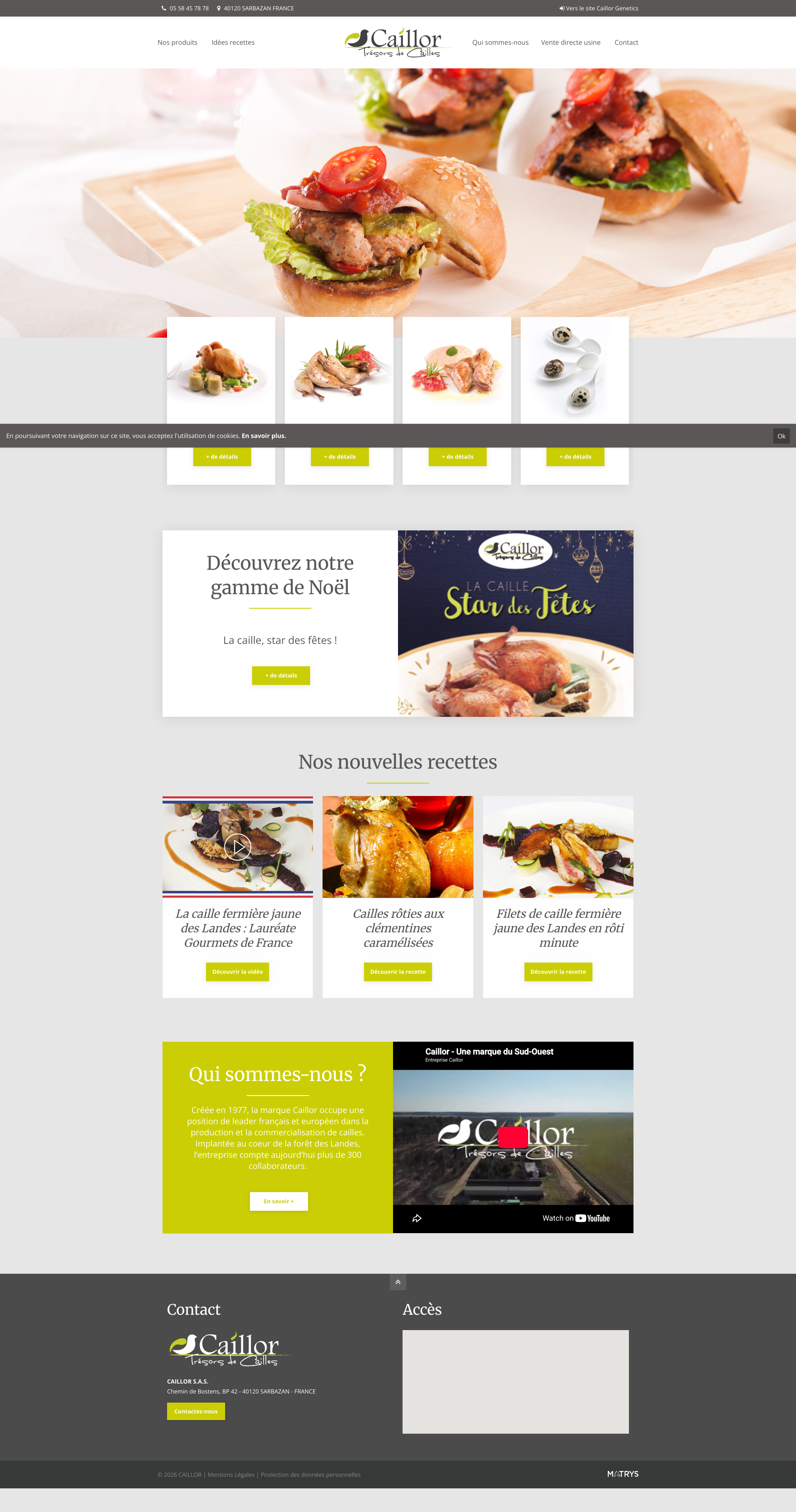 Aperçu du site