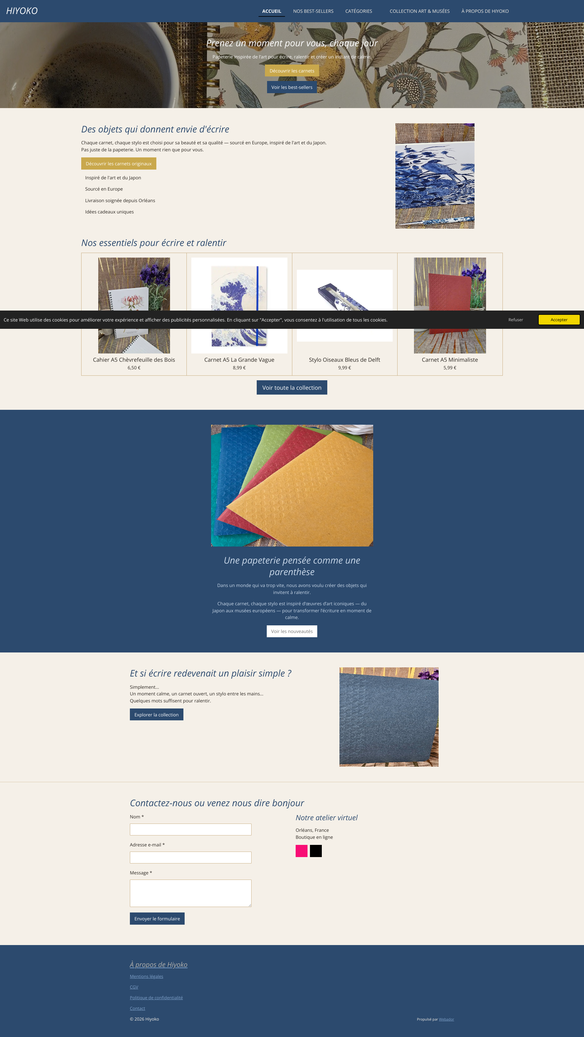 Aperçu du site